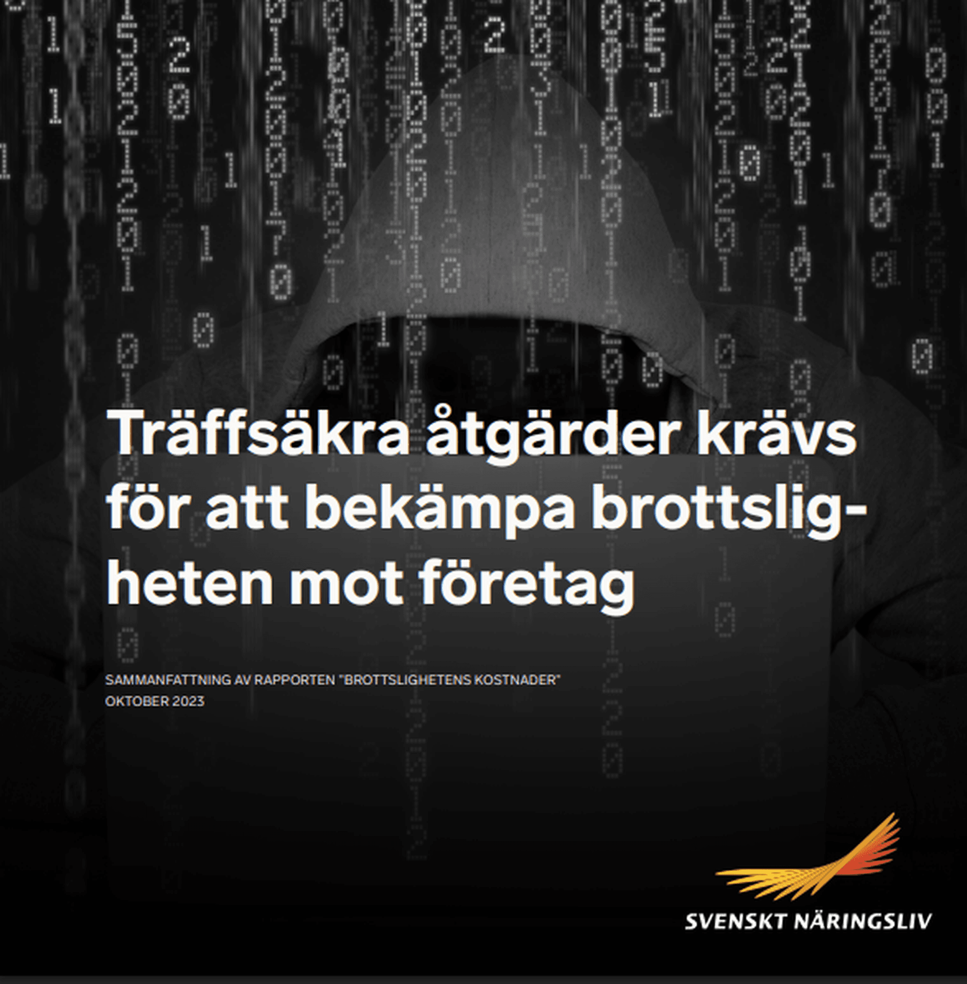 Skärmbild 2025-03-24 101618.png
