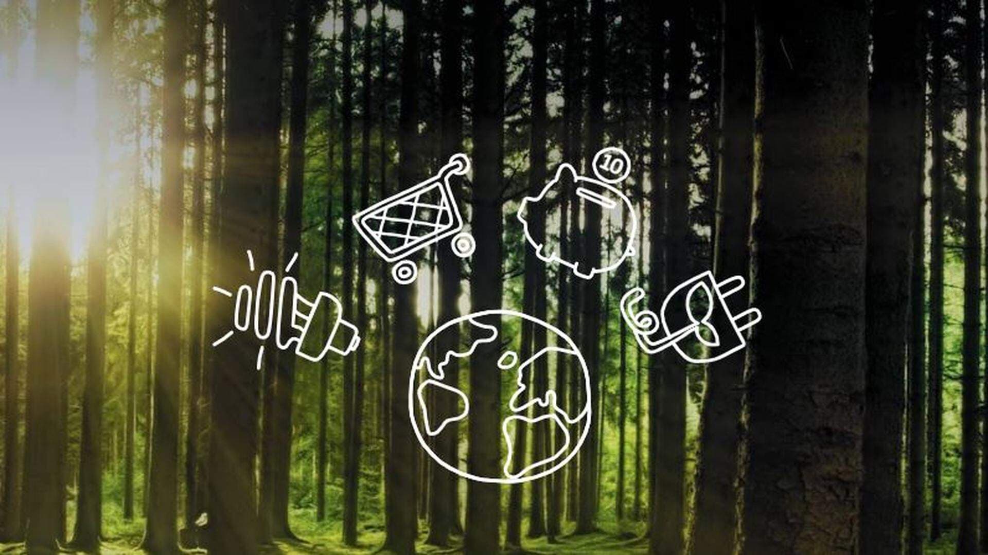 företagande för klimatet