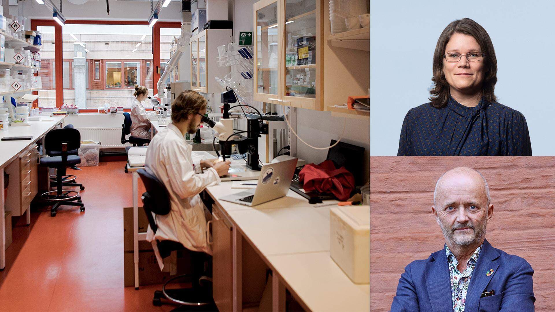 Katarina Bartels, skattejurist på Svenskt Näringsliv, Anders Persson är chef för strategisk utveckling och internationella frågor på Innovationsföretagen.
