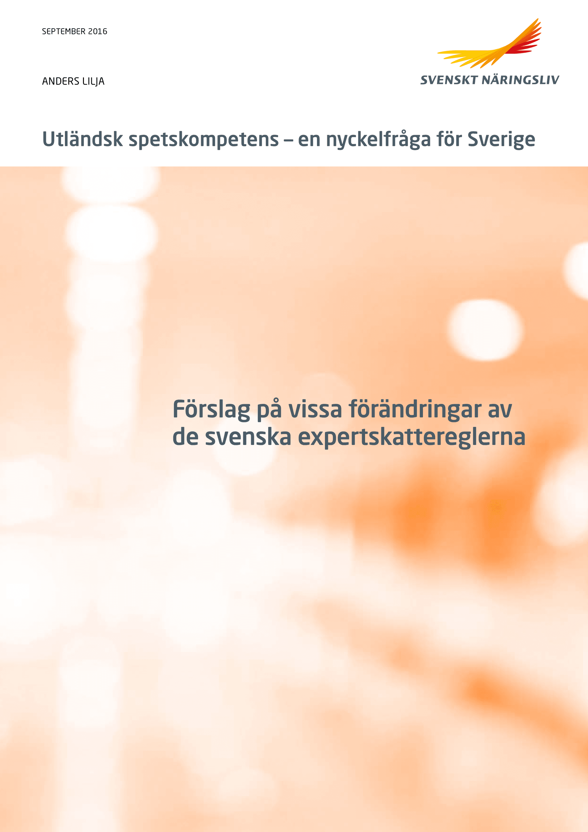 Utlandsk_spetskompetens.pdf.png