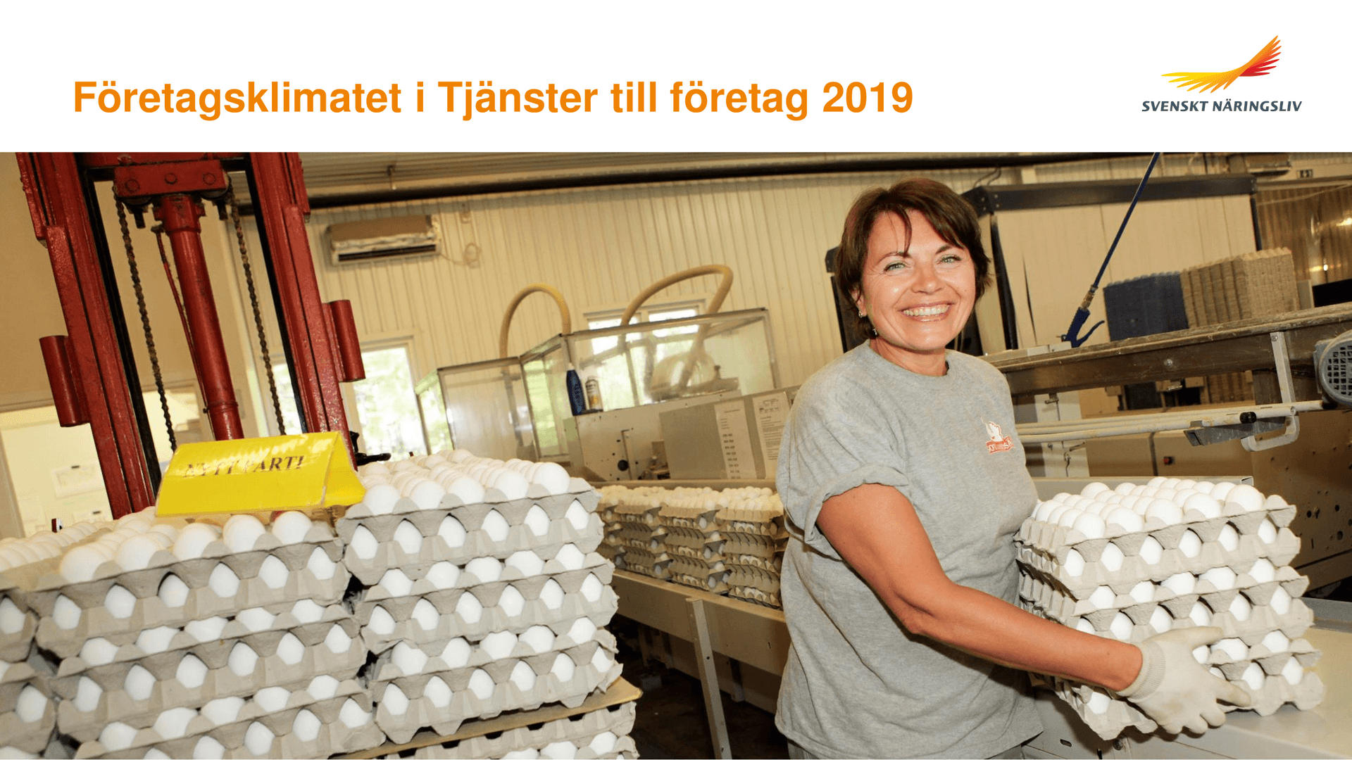 Tjanster_till_foretag.pdf.png