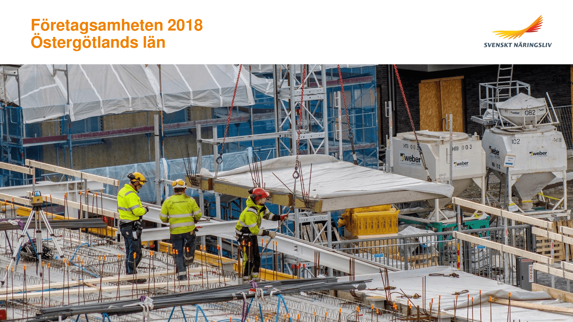 Ostergotland_2018.pdf.png