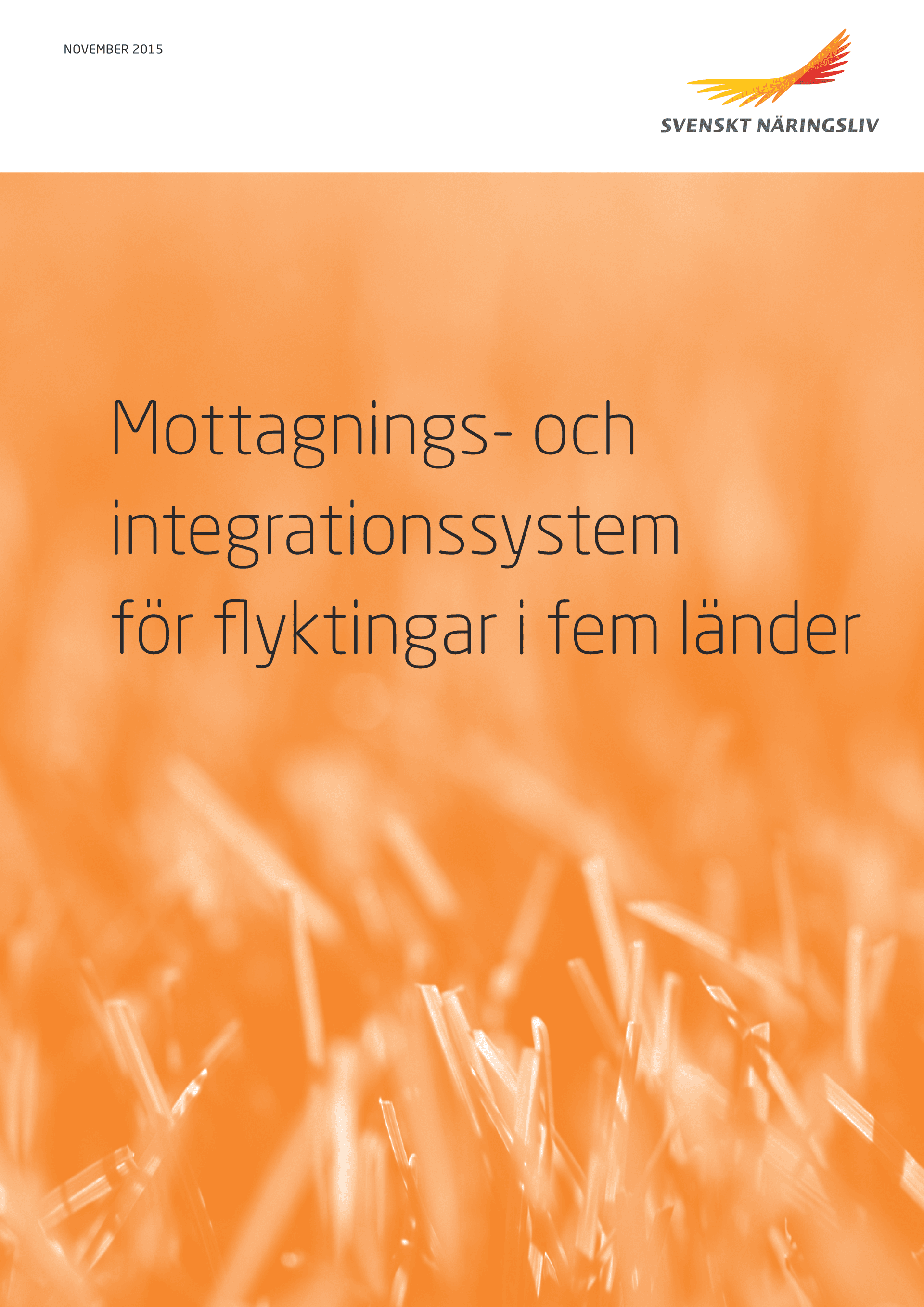 Mottagnings- o integrationssystem.png