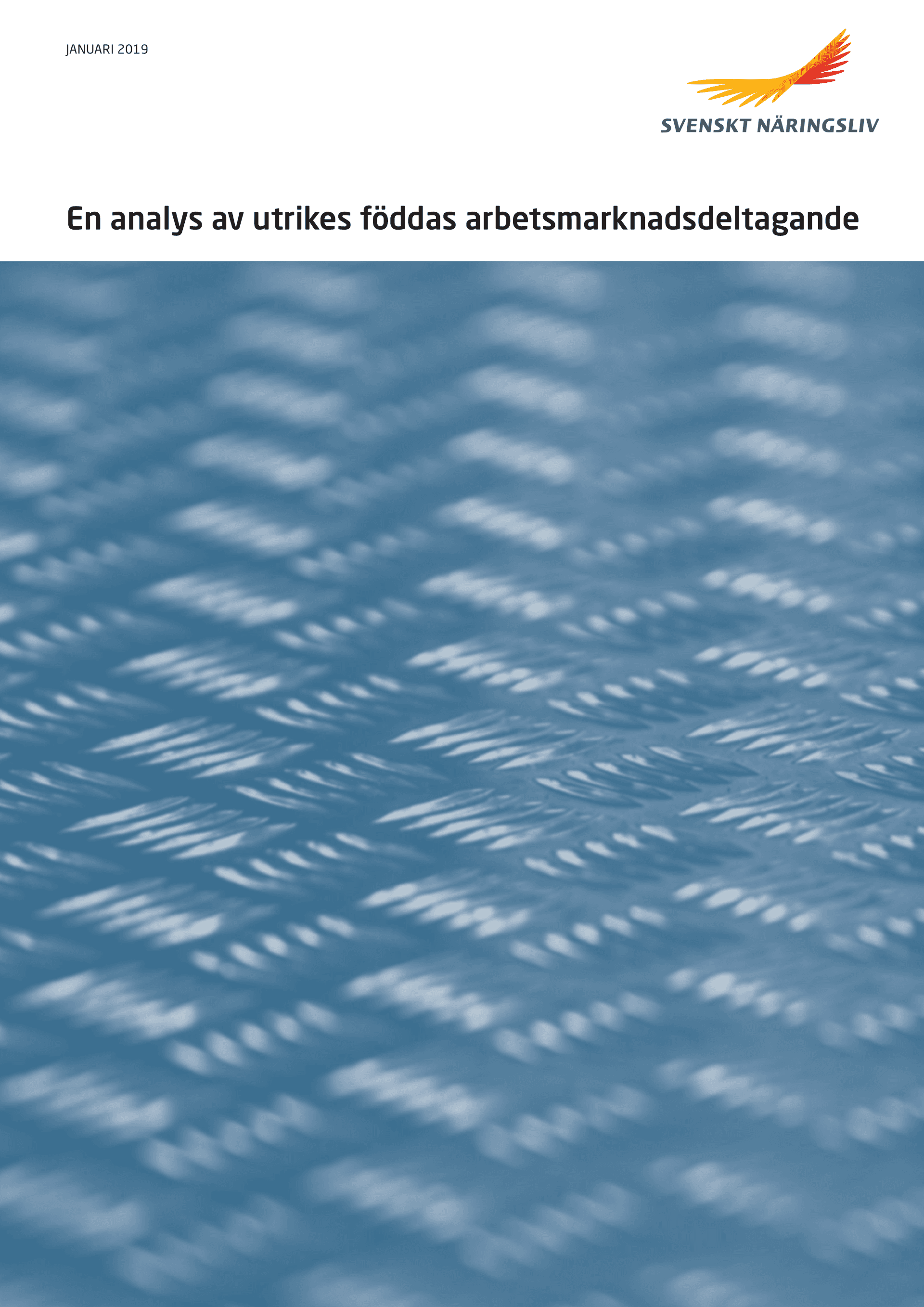Utrikesfoddas_arbetsmarknadsdeltagande_webb.pdf.png