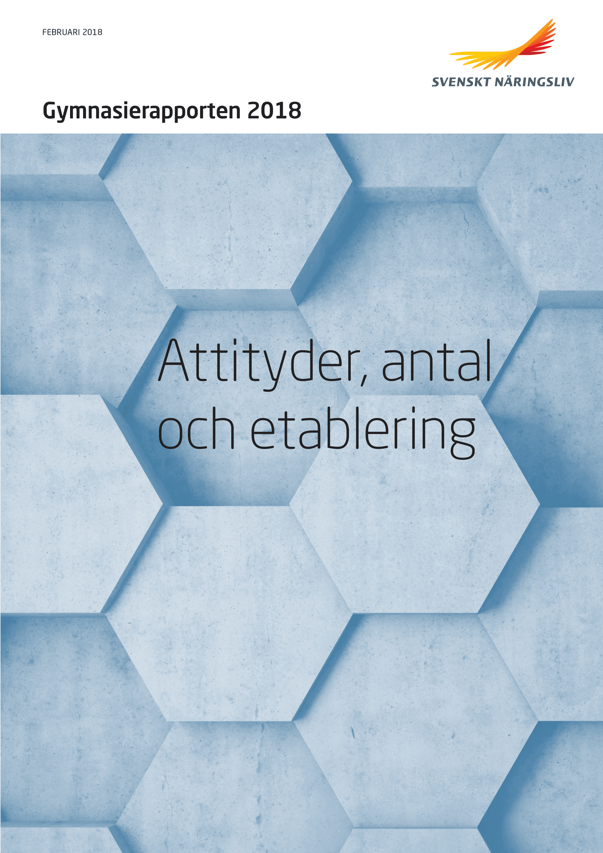 Gymnasierapporten_2018.pdf.png