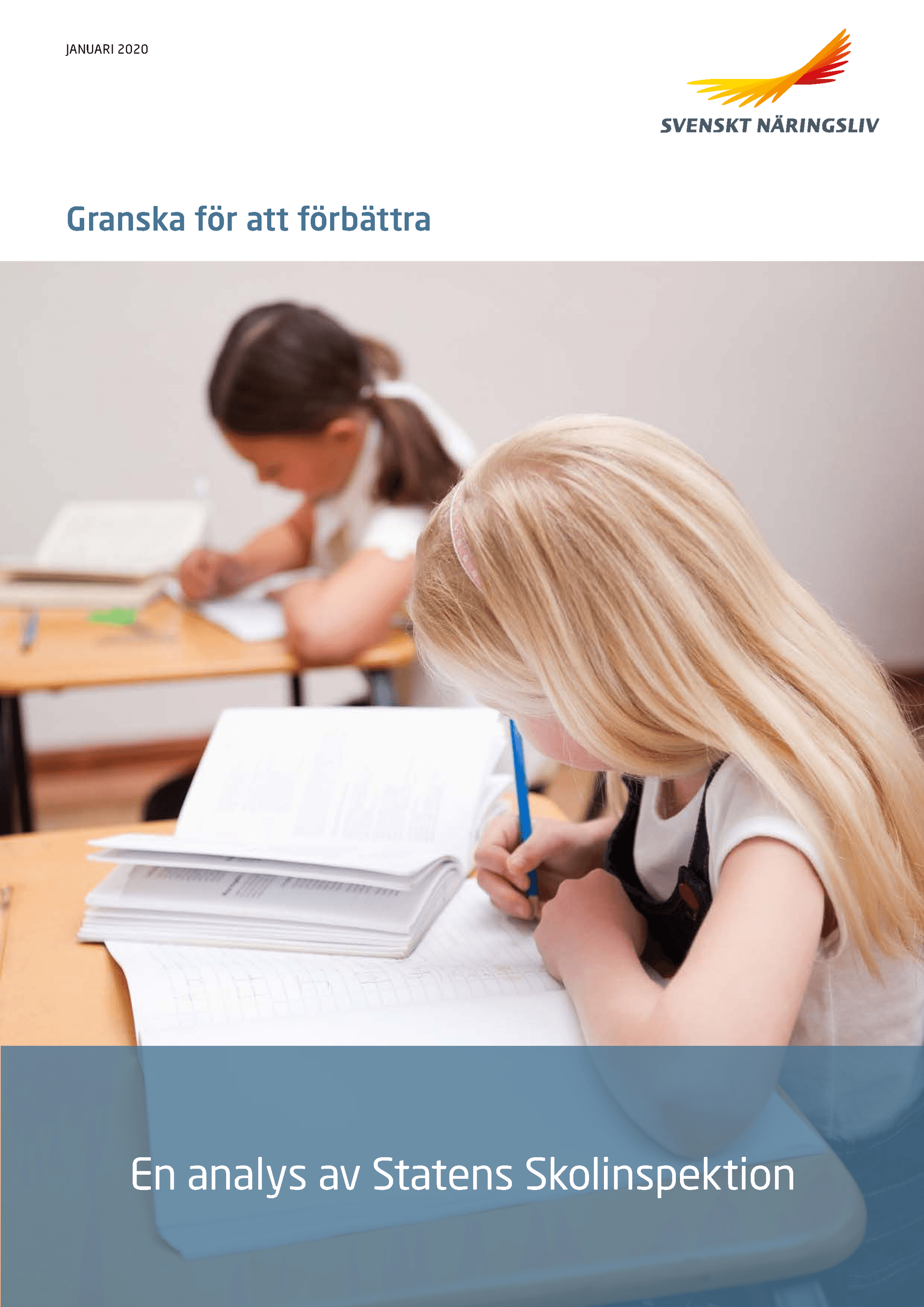 Rapport_Granska_for_att_forbattra_webb.pdf.png