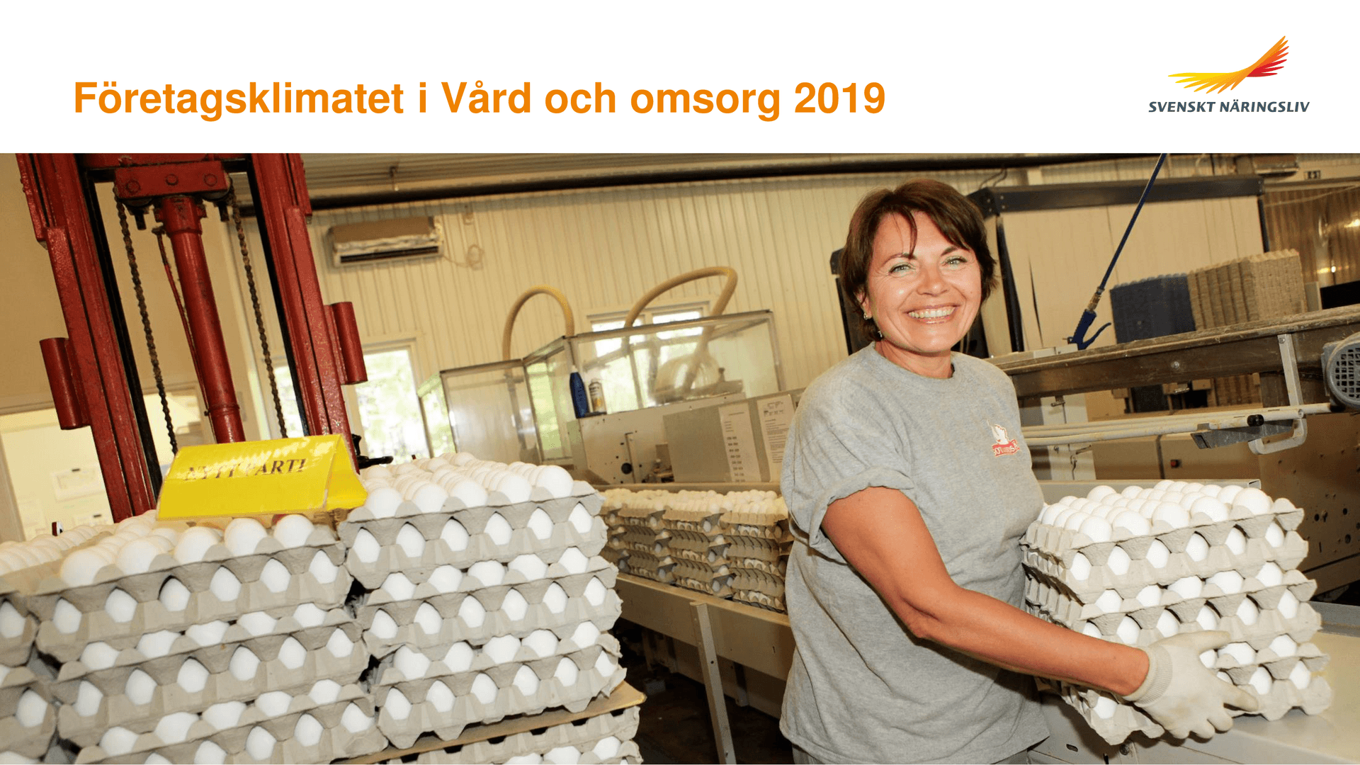 Vard_och_omsorg.pdf.png