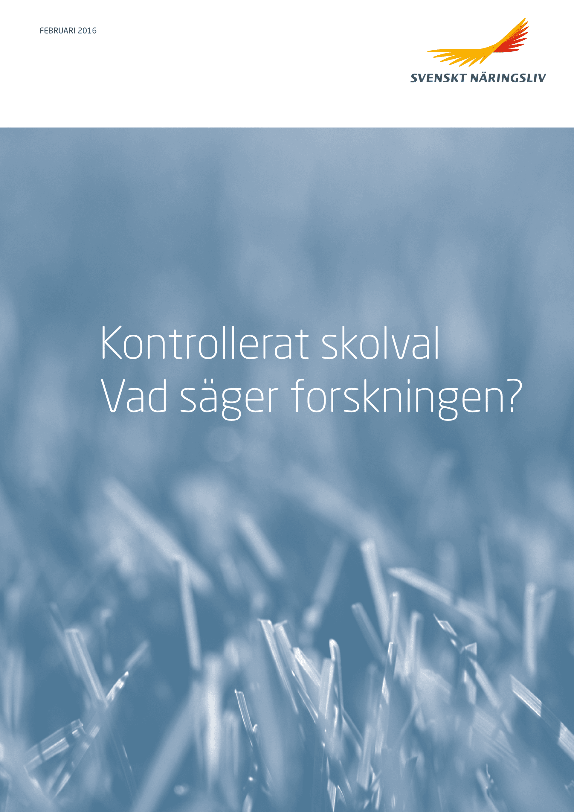 Kontrollerat_skolval.pdf.png