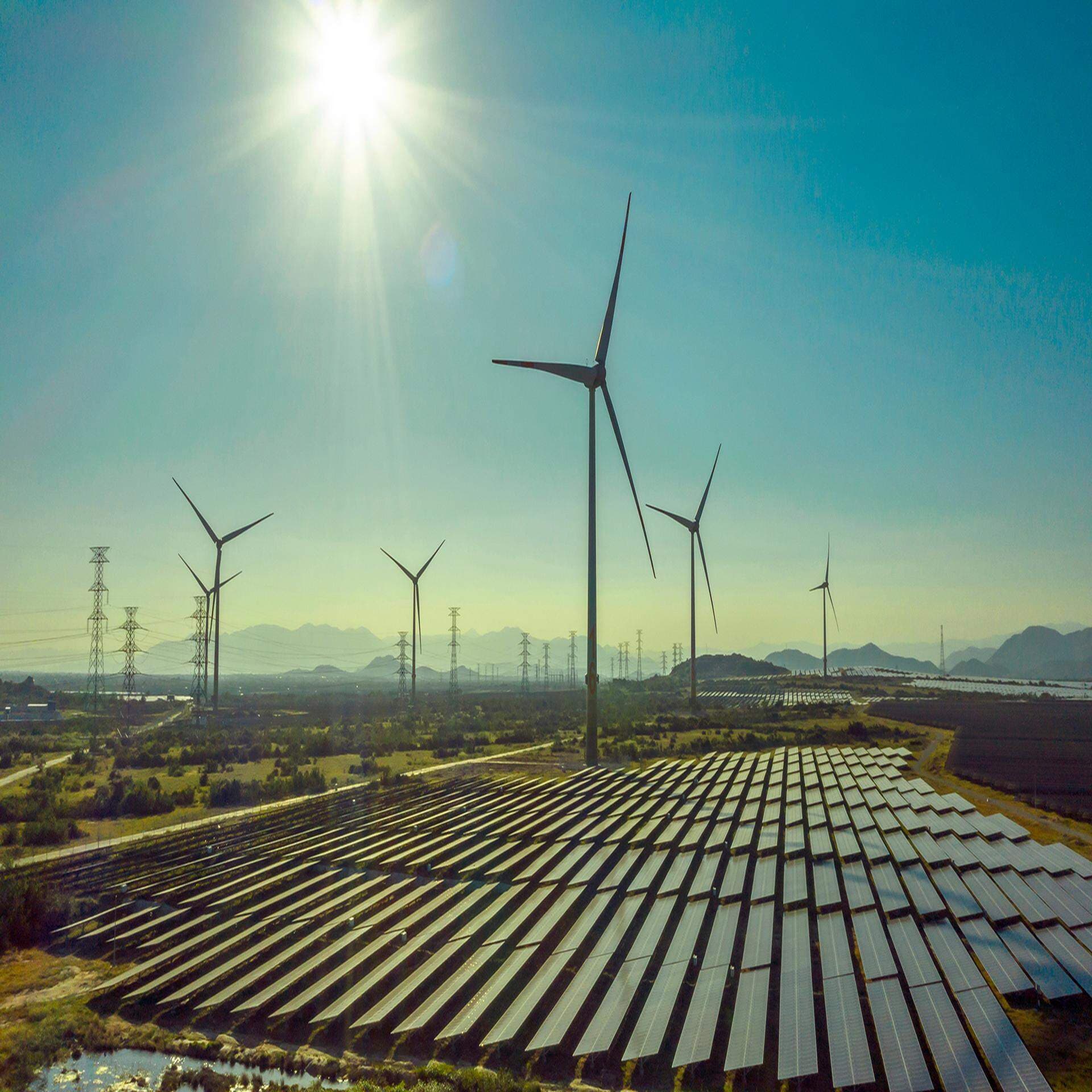 Främja en grön omställning