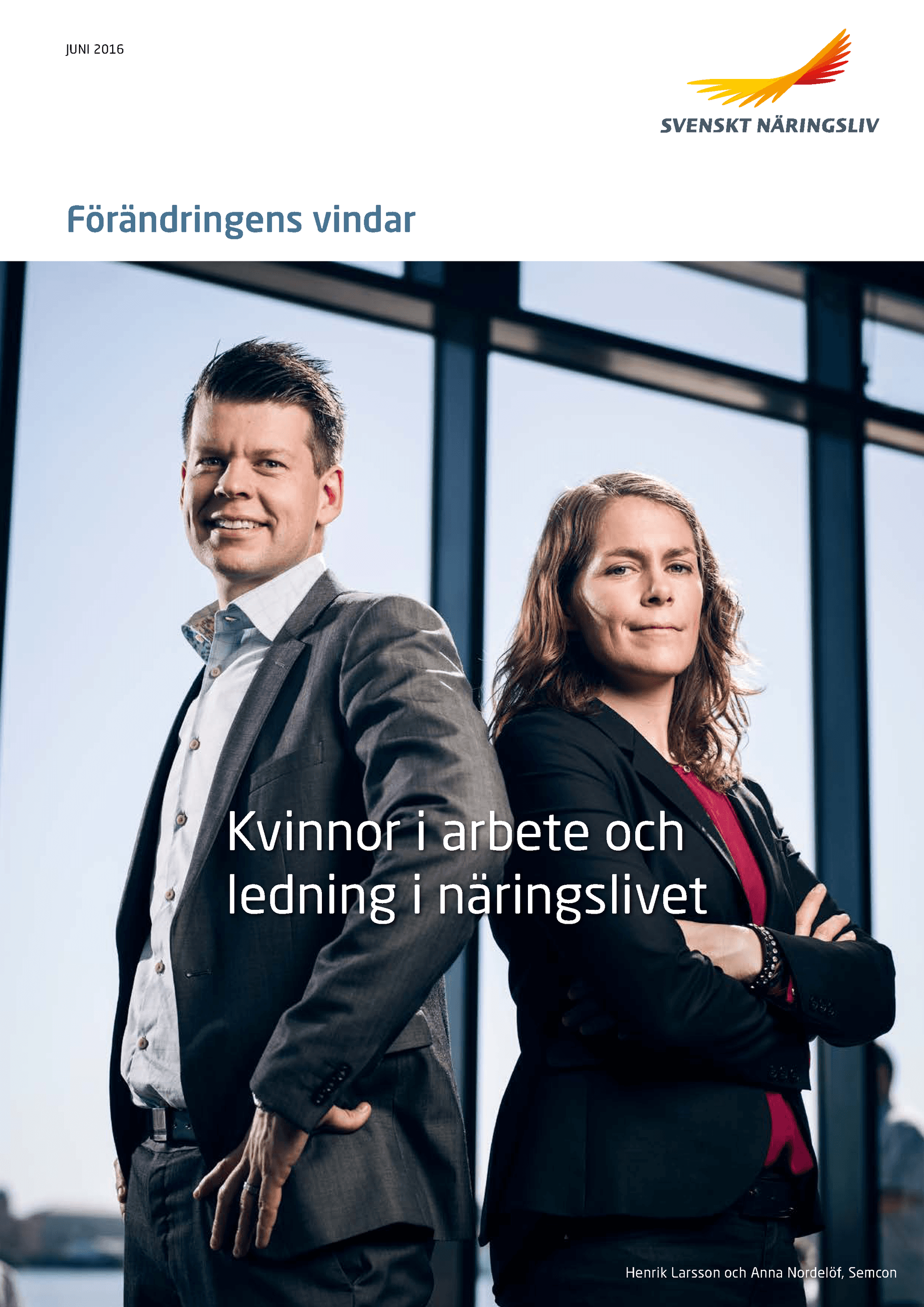 Kvinnor_i_arbete.pdf.png