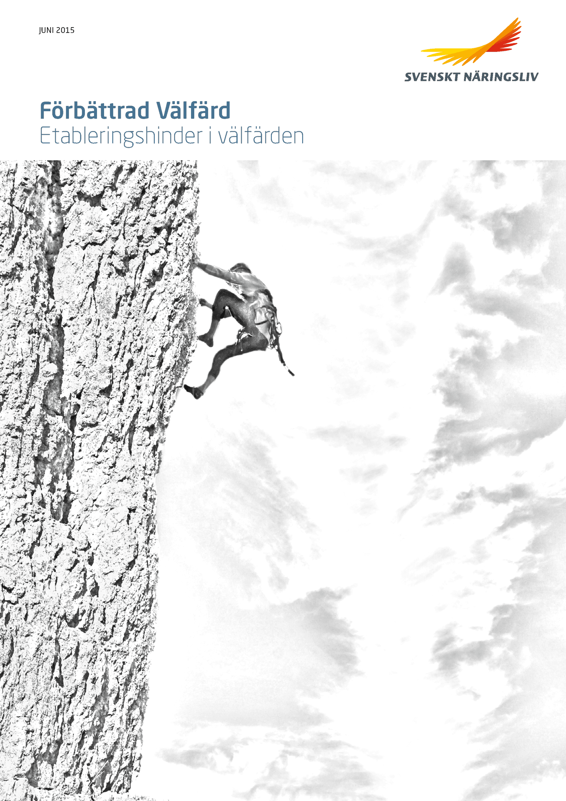 Etableringshinder.pdf.png