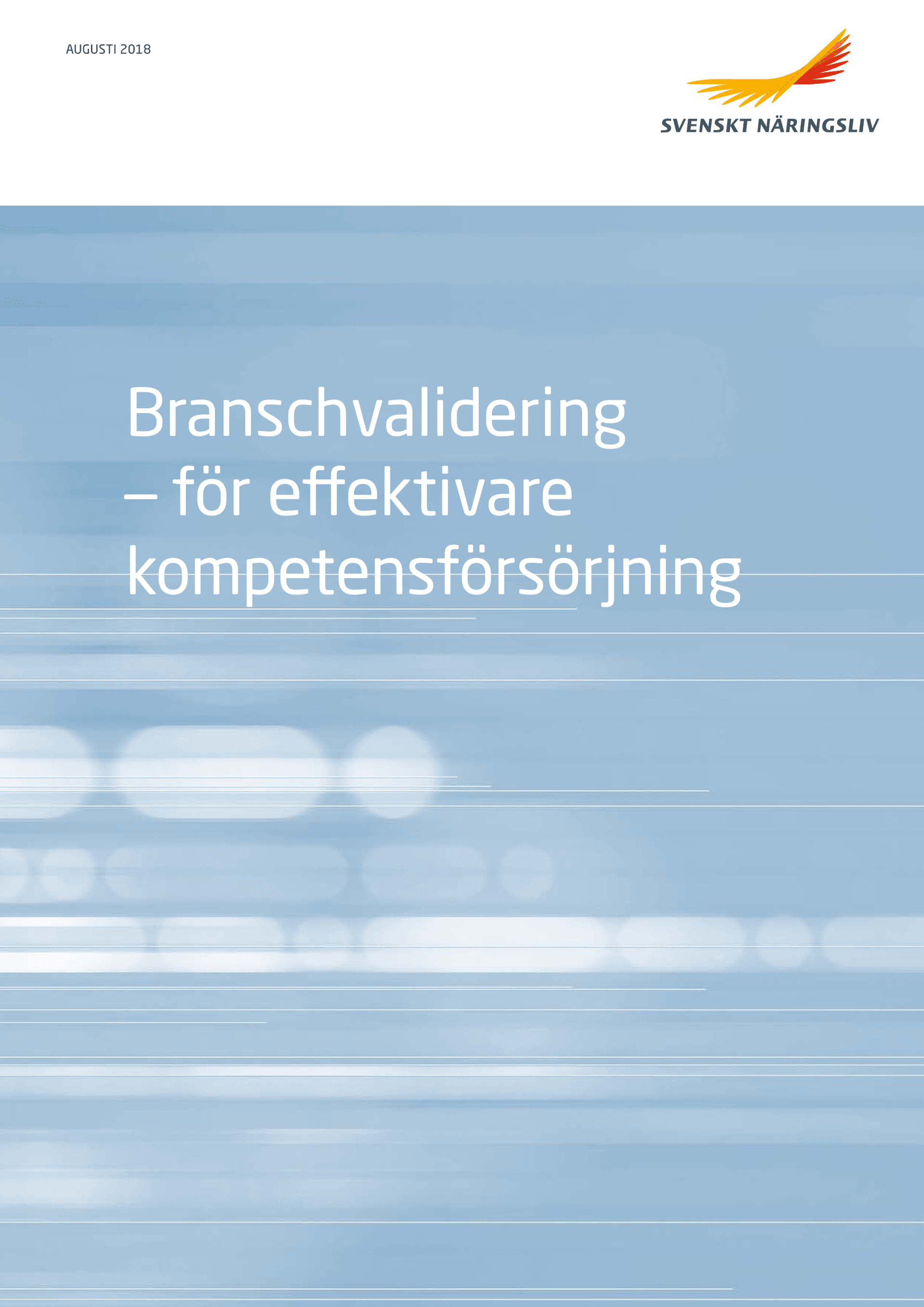 Broschyr_Branschvalidering_webb.pdf.png