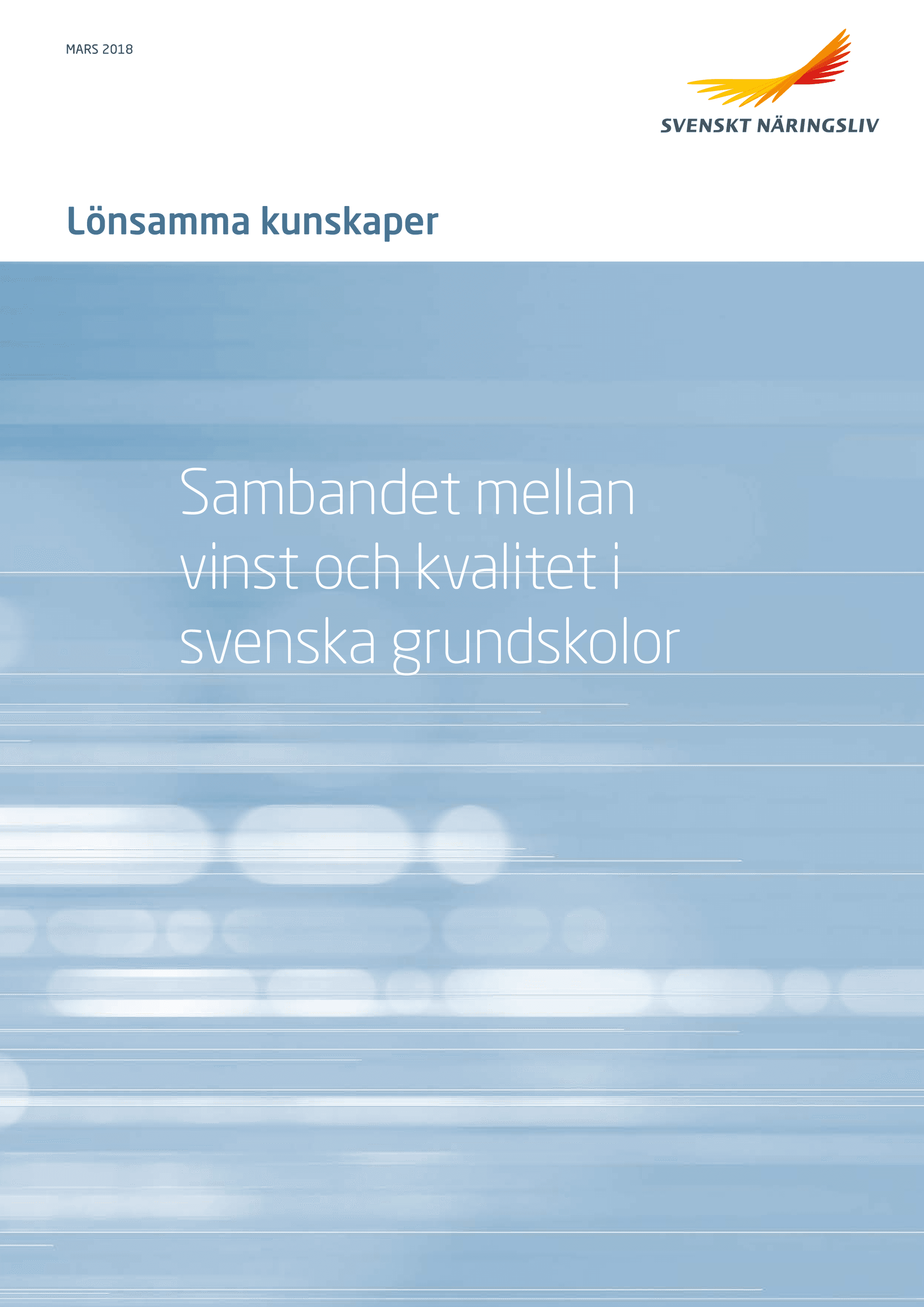Rapport_Lonsamma_kunskaper_webb.pdf.png
