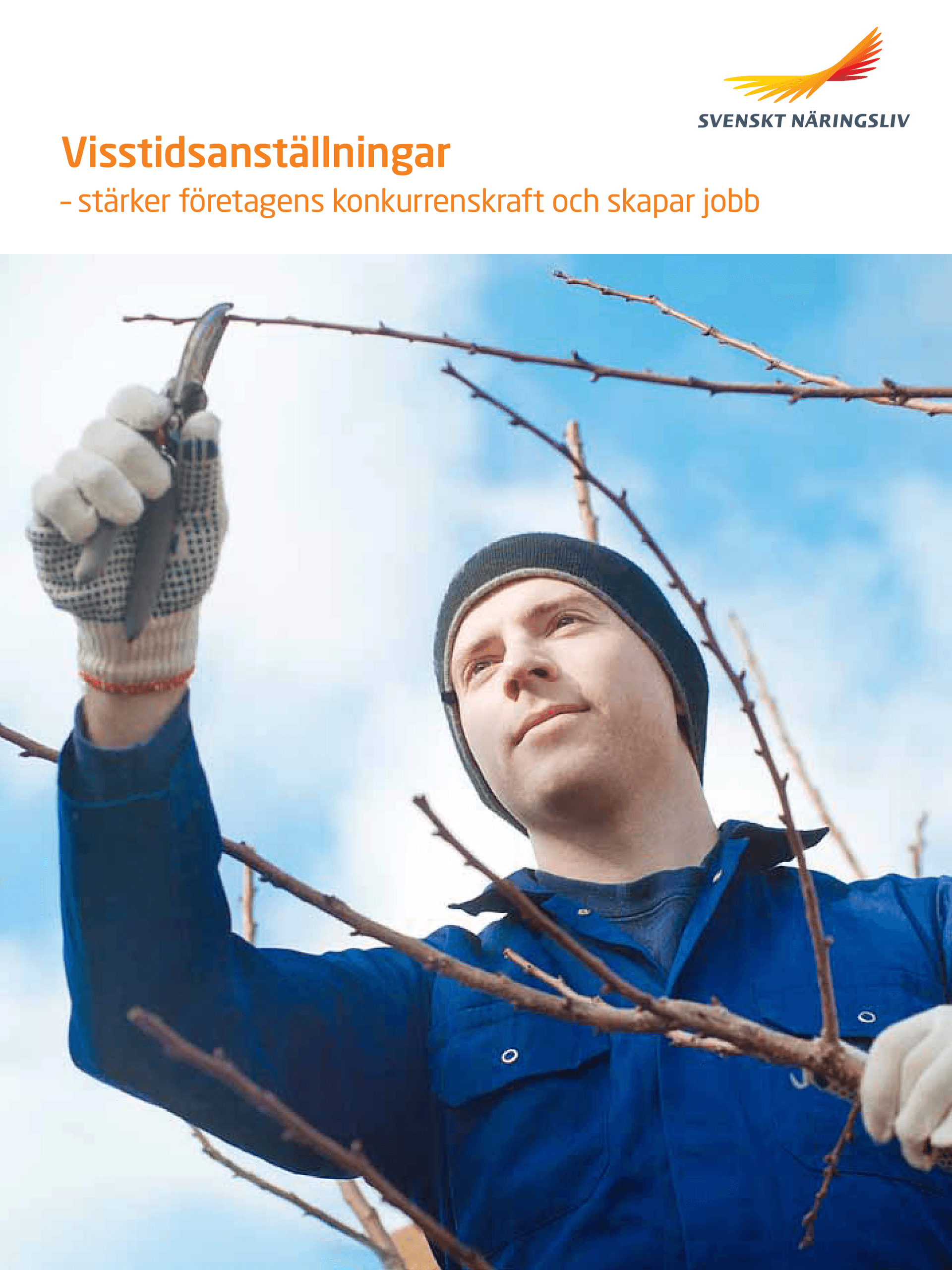 Visstidsanställningar.png