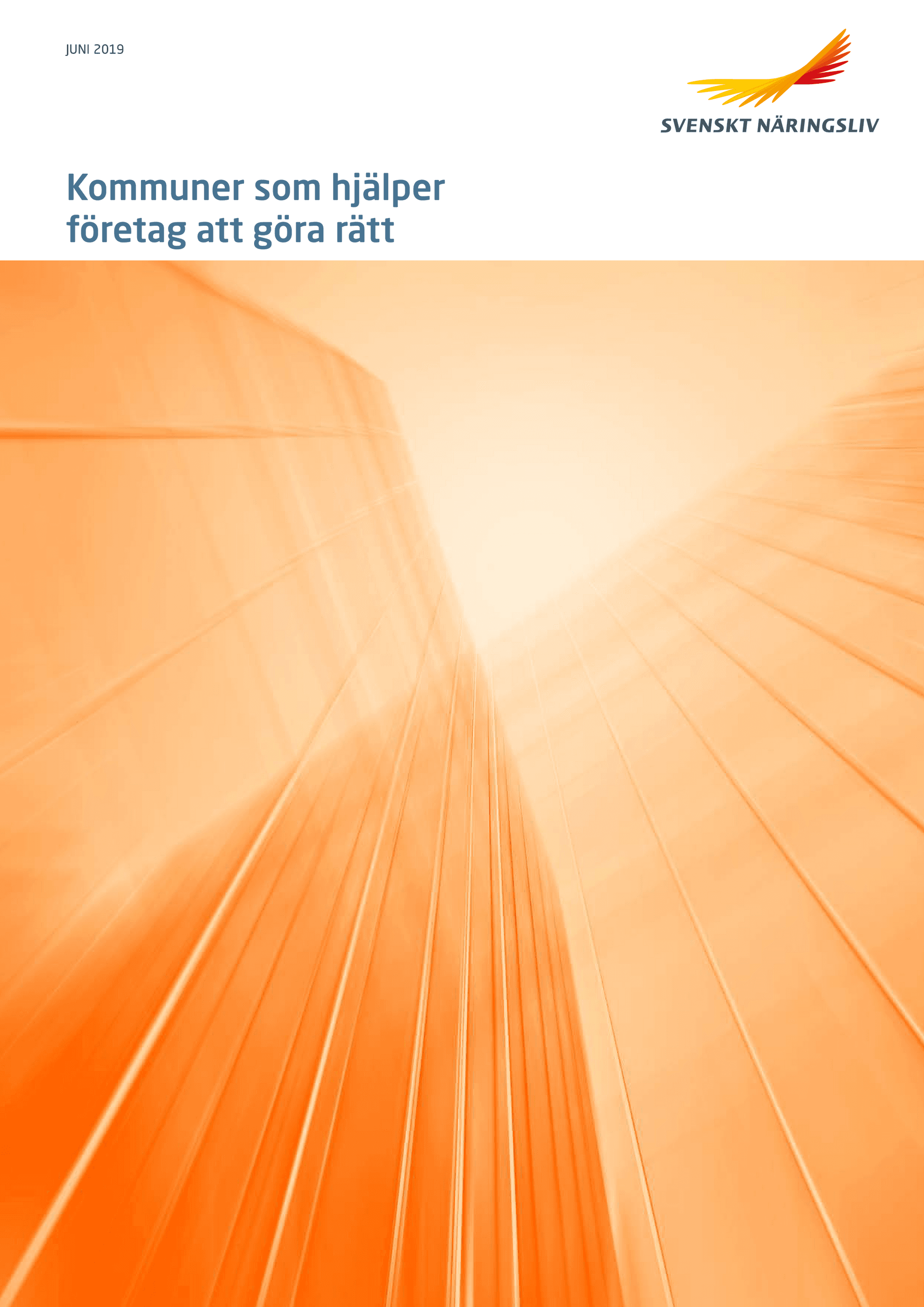 Kommuner_som_hjalper_foretag_att_gora_ratt.pdf.png