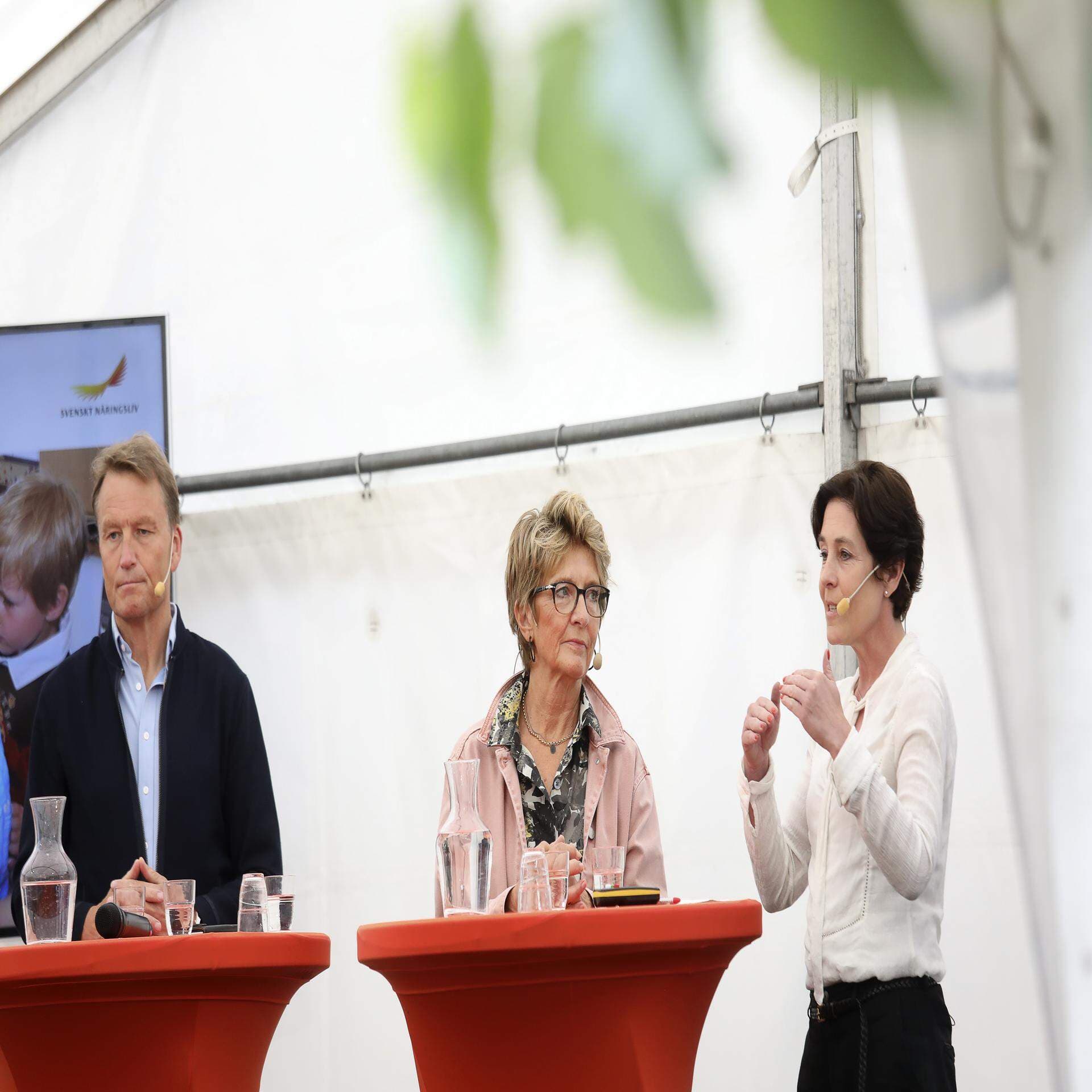 Samhällsentreprenörer