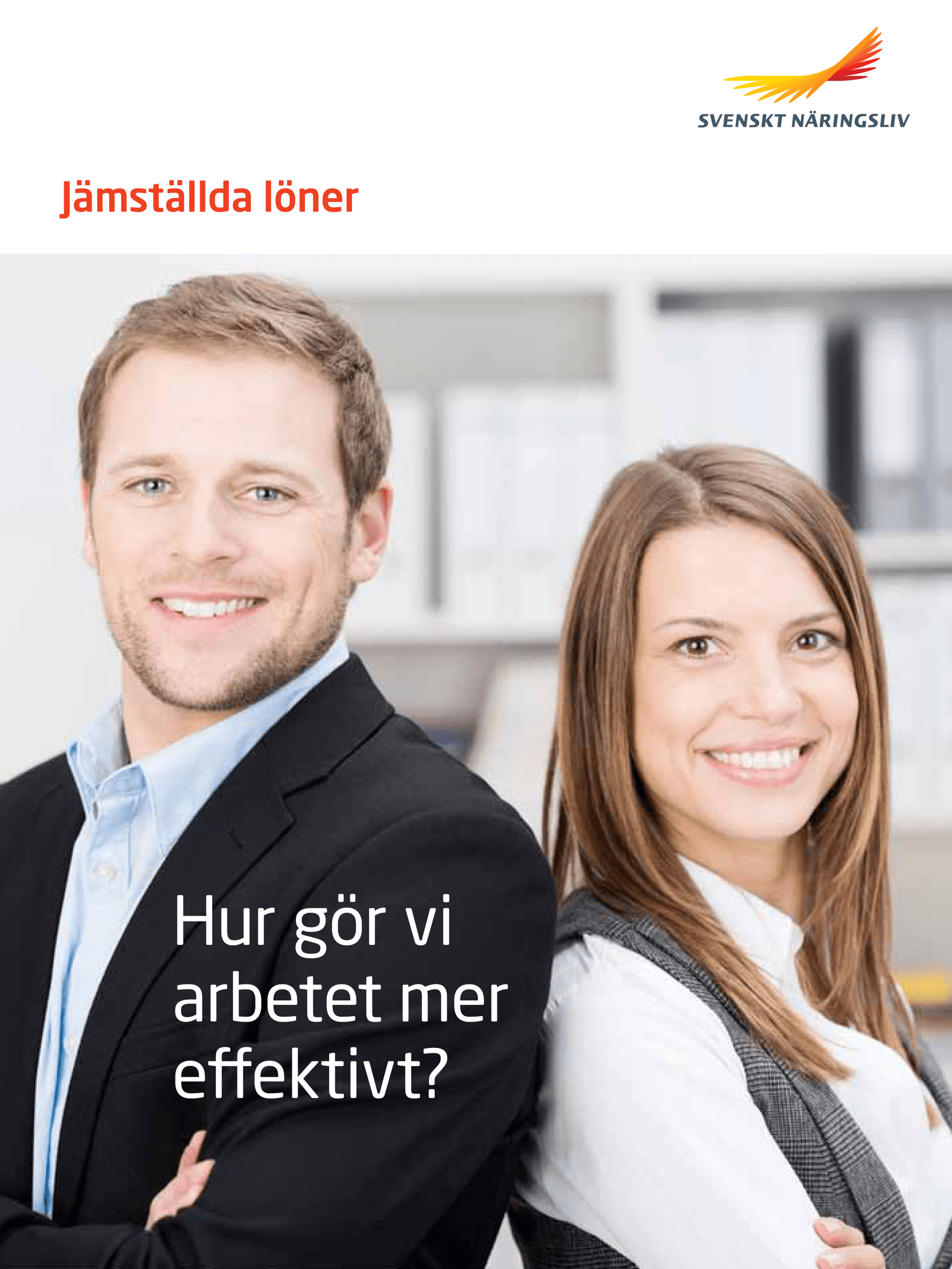 Jämställda löner.png