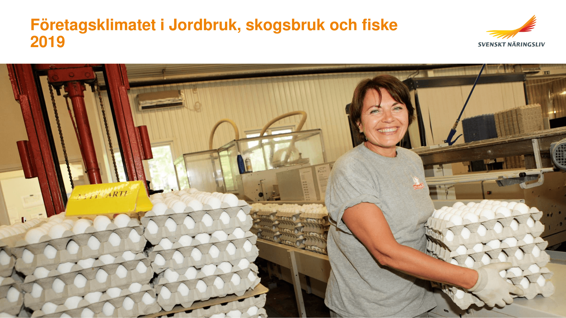 Jordbruk_skogsbruk_och_fiske.pdf.png