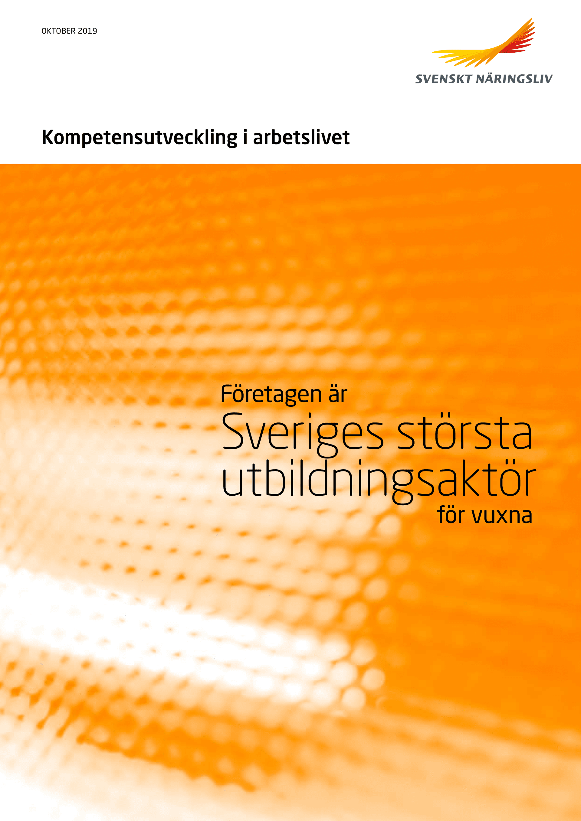 Kompetensutveckling_i_arbetslivet_webb.pdf.png