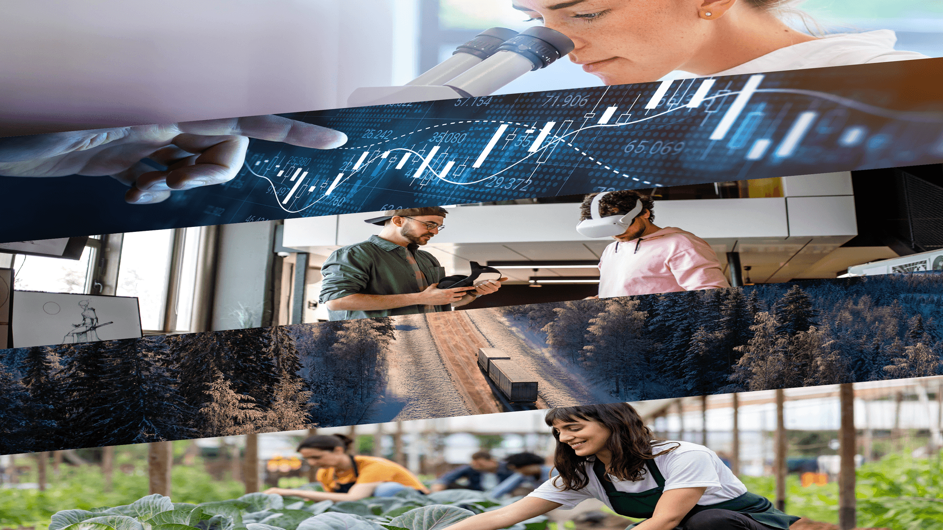 Bildkollage forskning, handel, industri