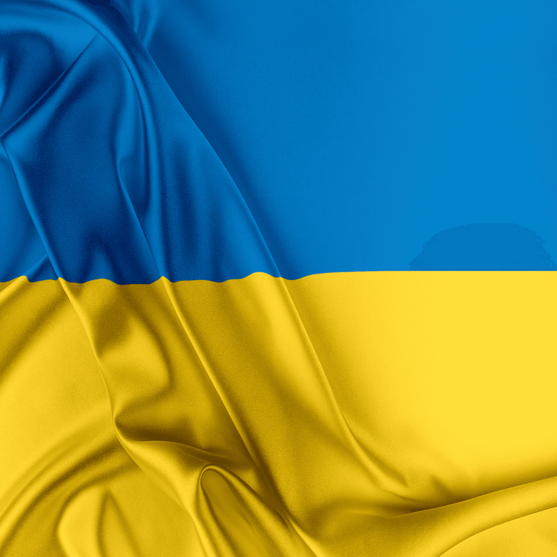 Ukrainas flagga
