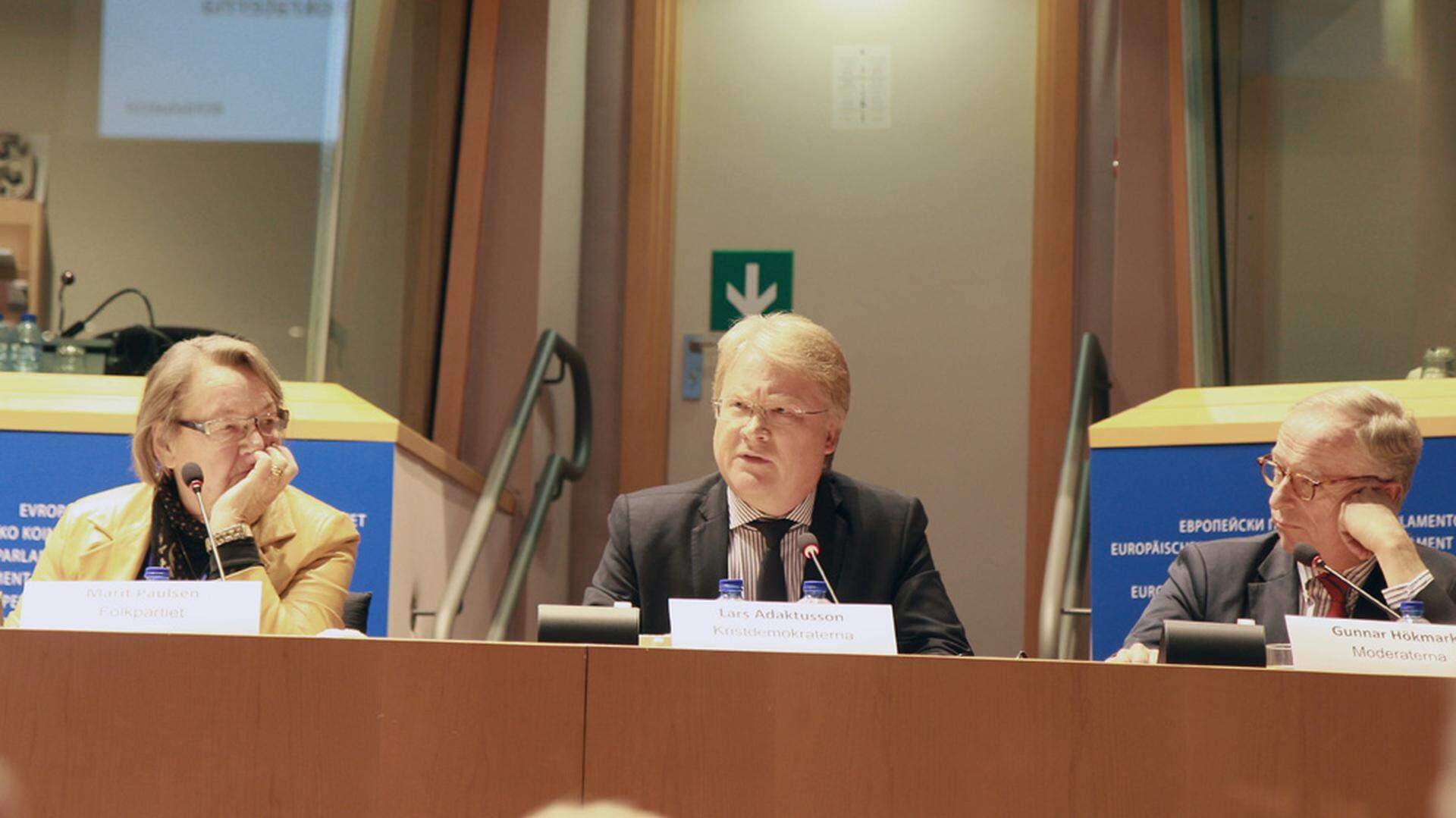 paulsen adaktusson och hökmark.jpg