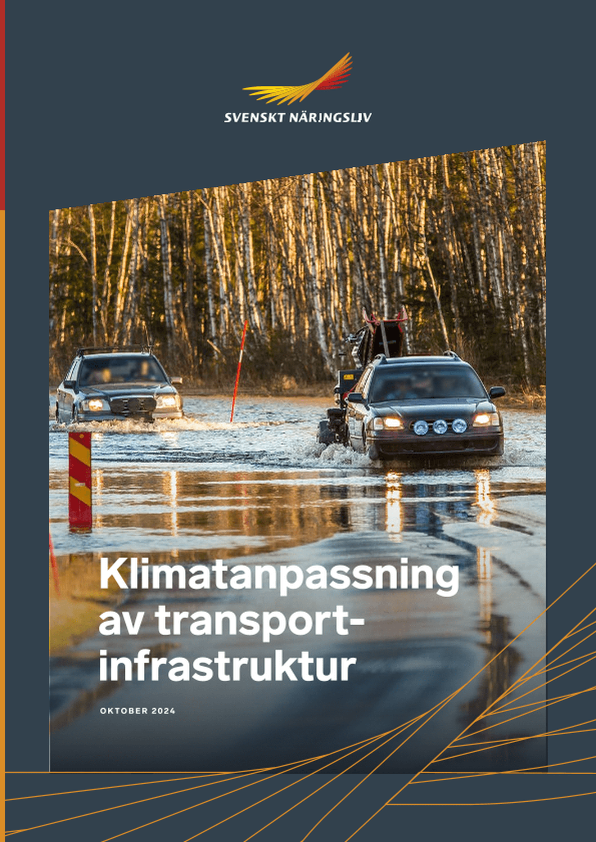 Omslagsbild - Rapport