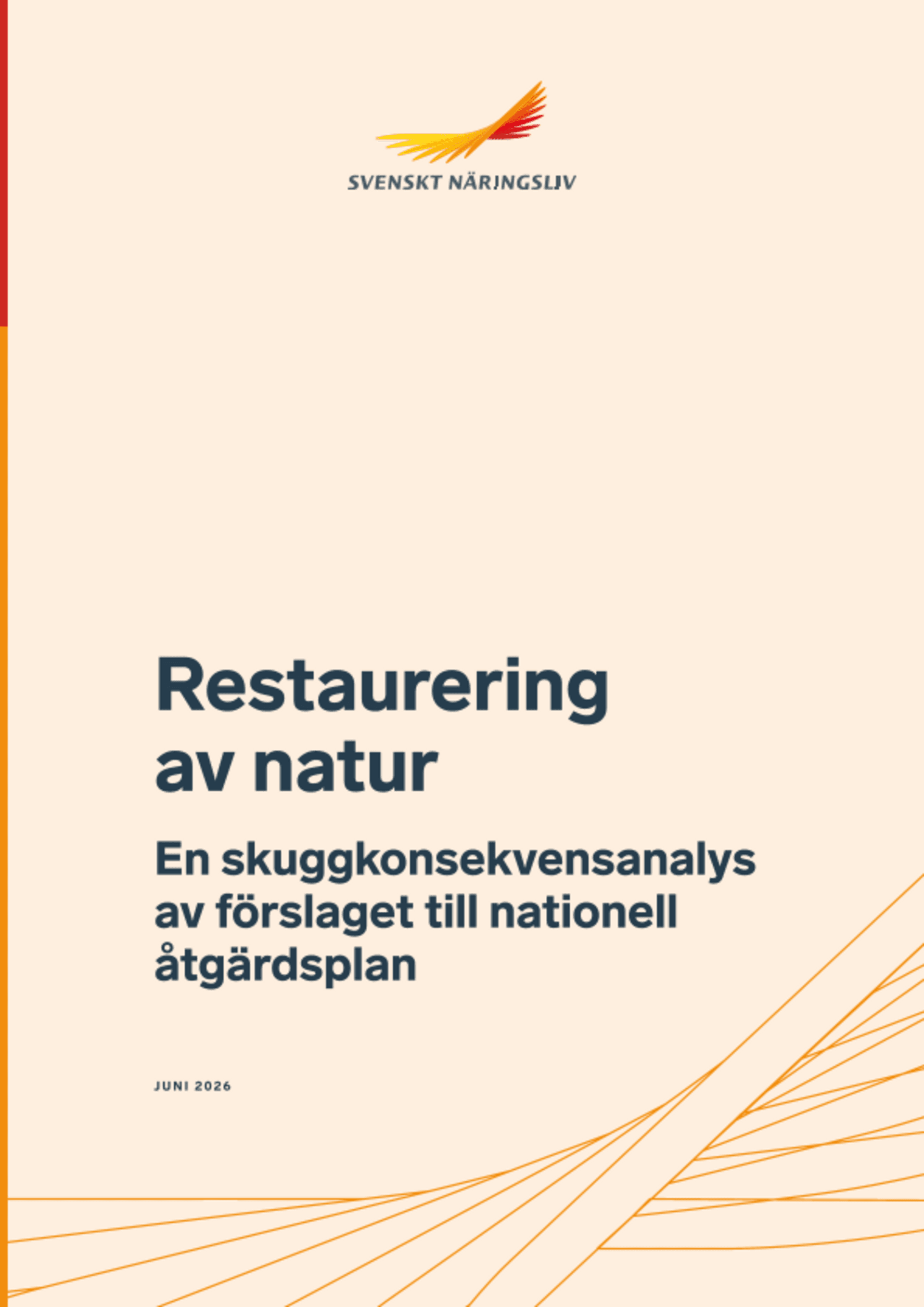 Omslagsbild - Rapport