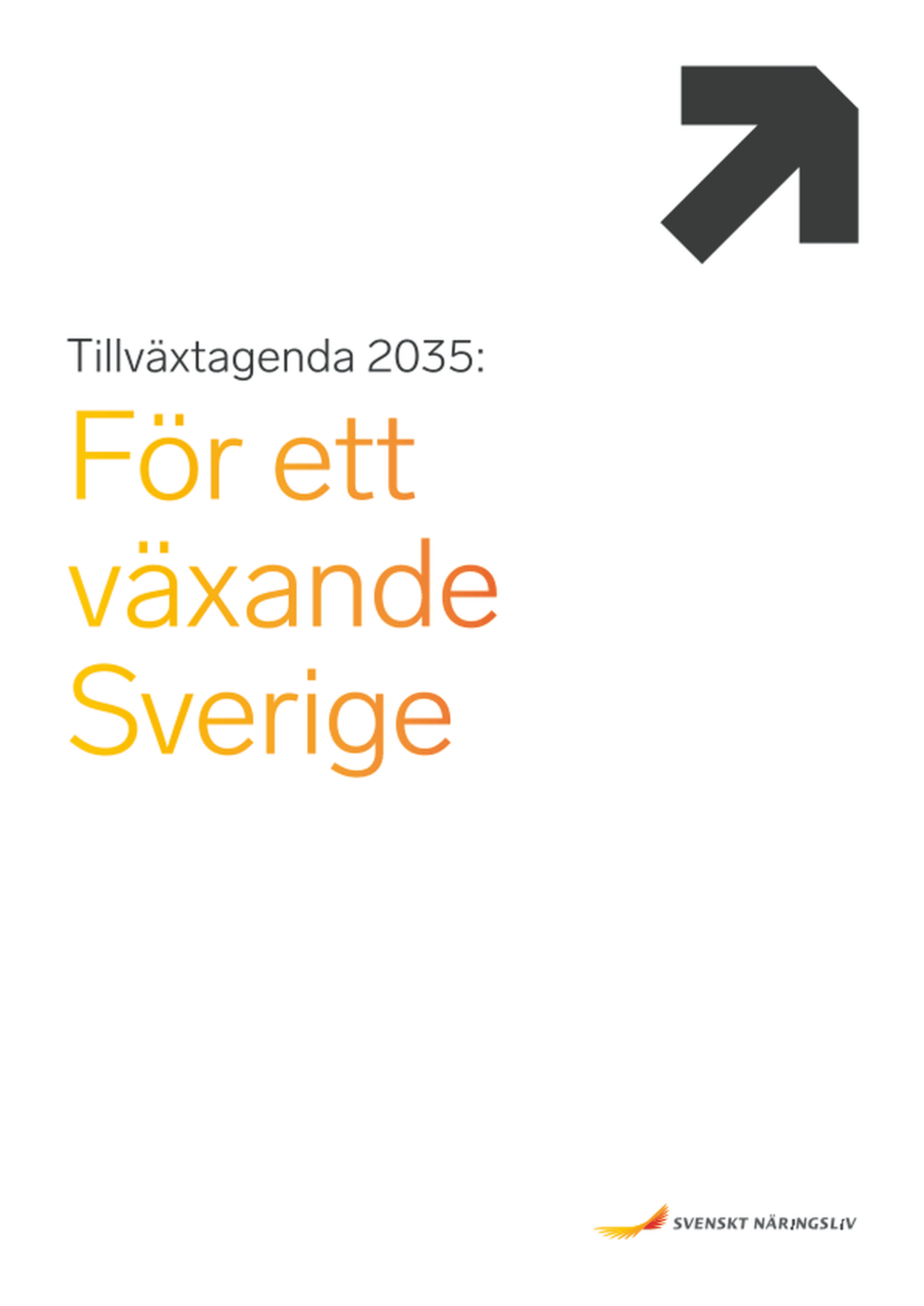 Omslagsbild - Rapport