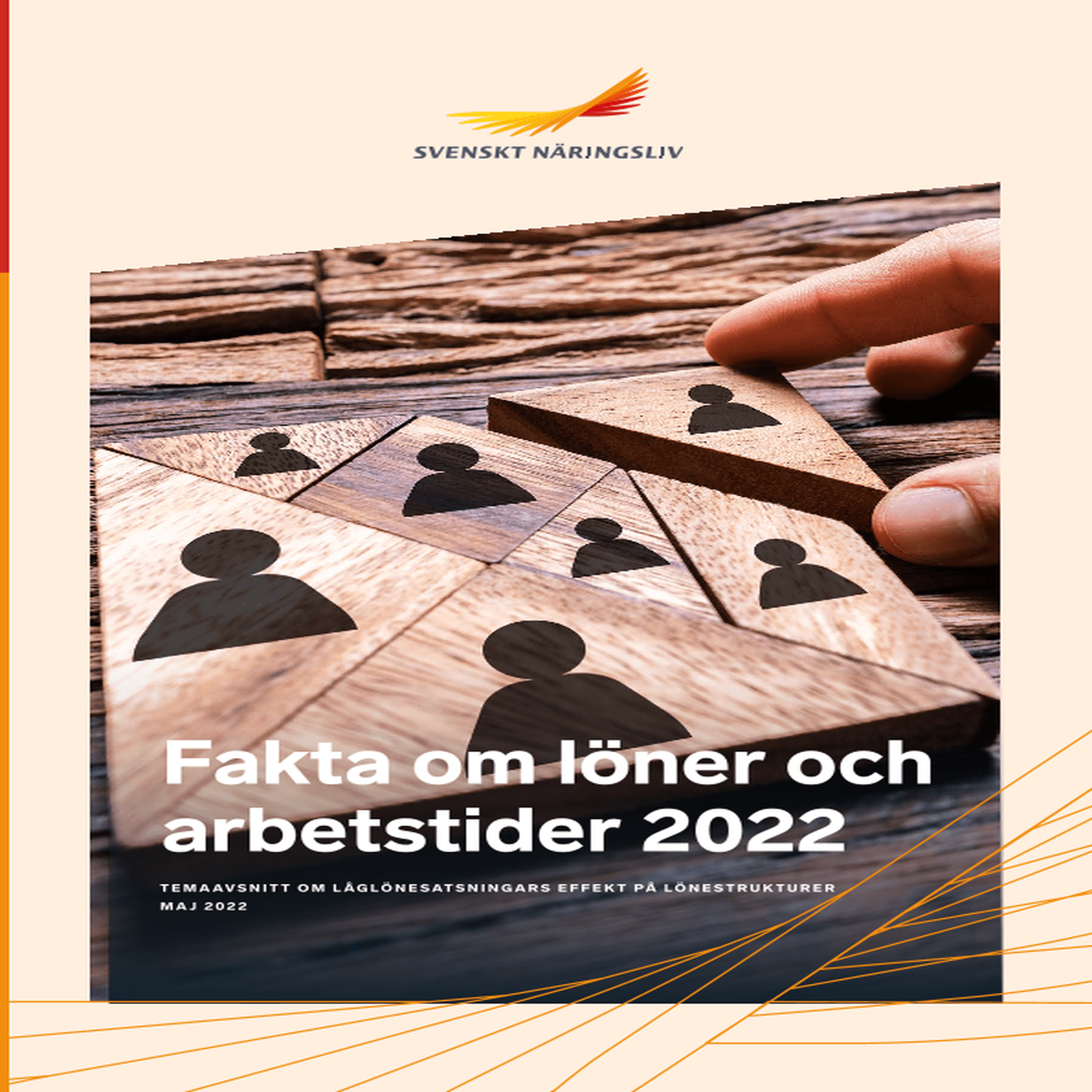 Omslagsbild - Rapport