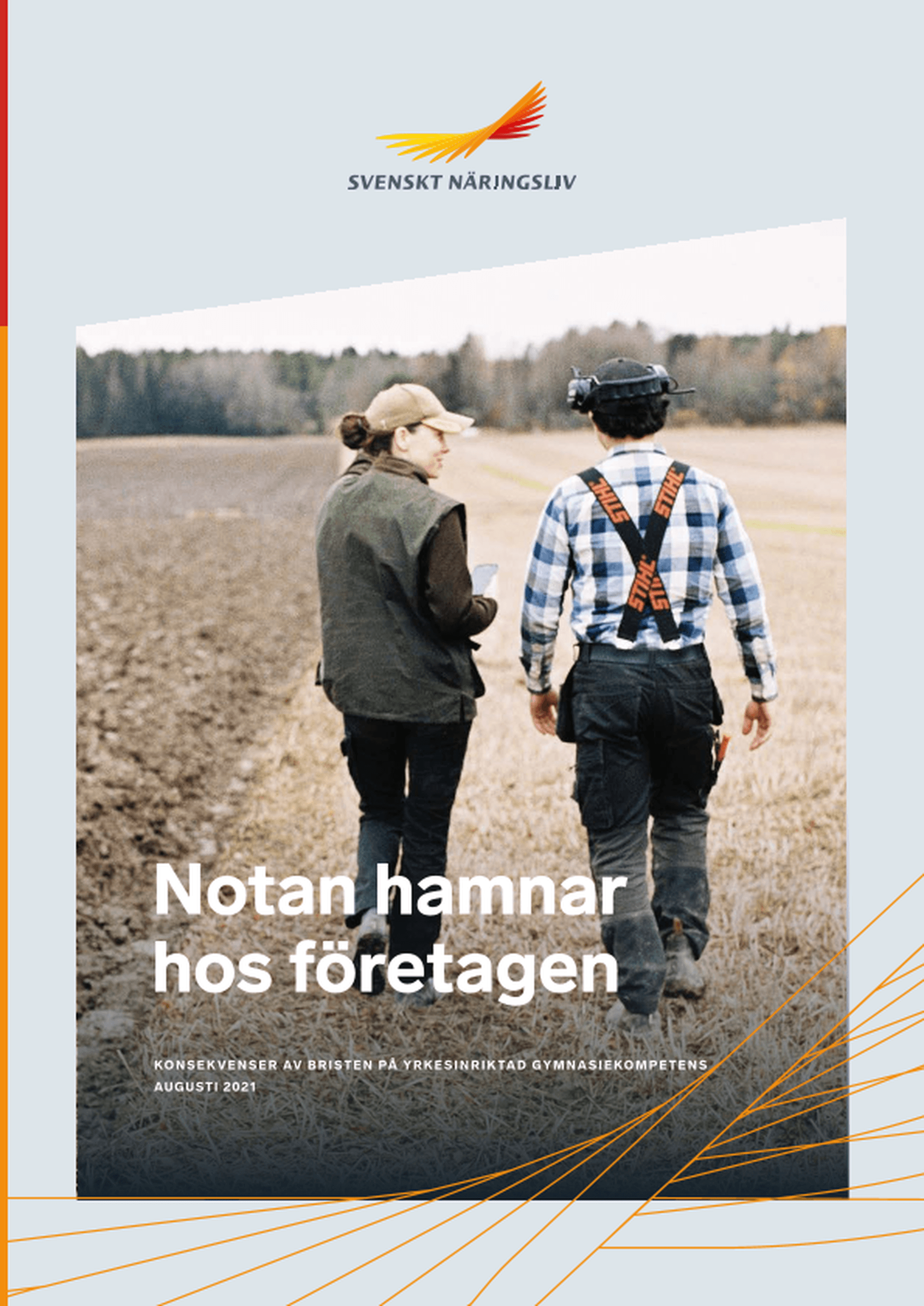 Omslagsbild - Rapport