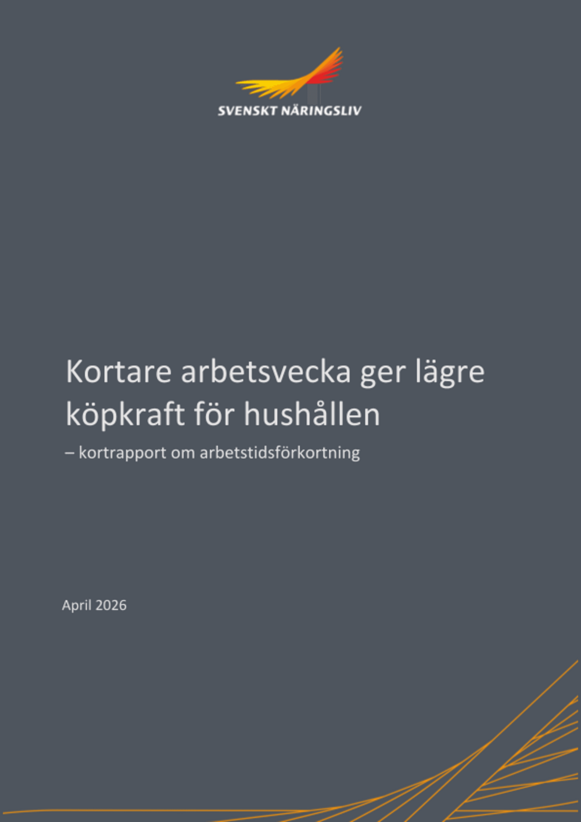 Omslagsbild - Rapport