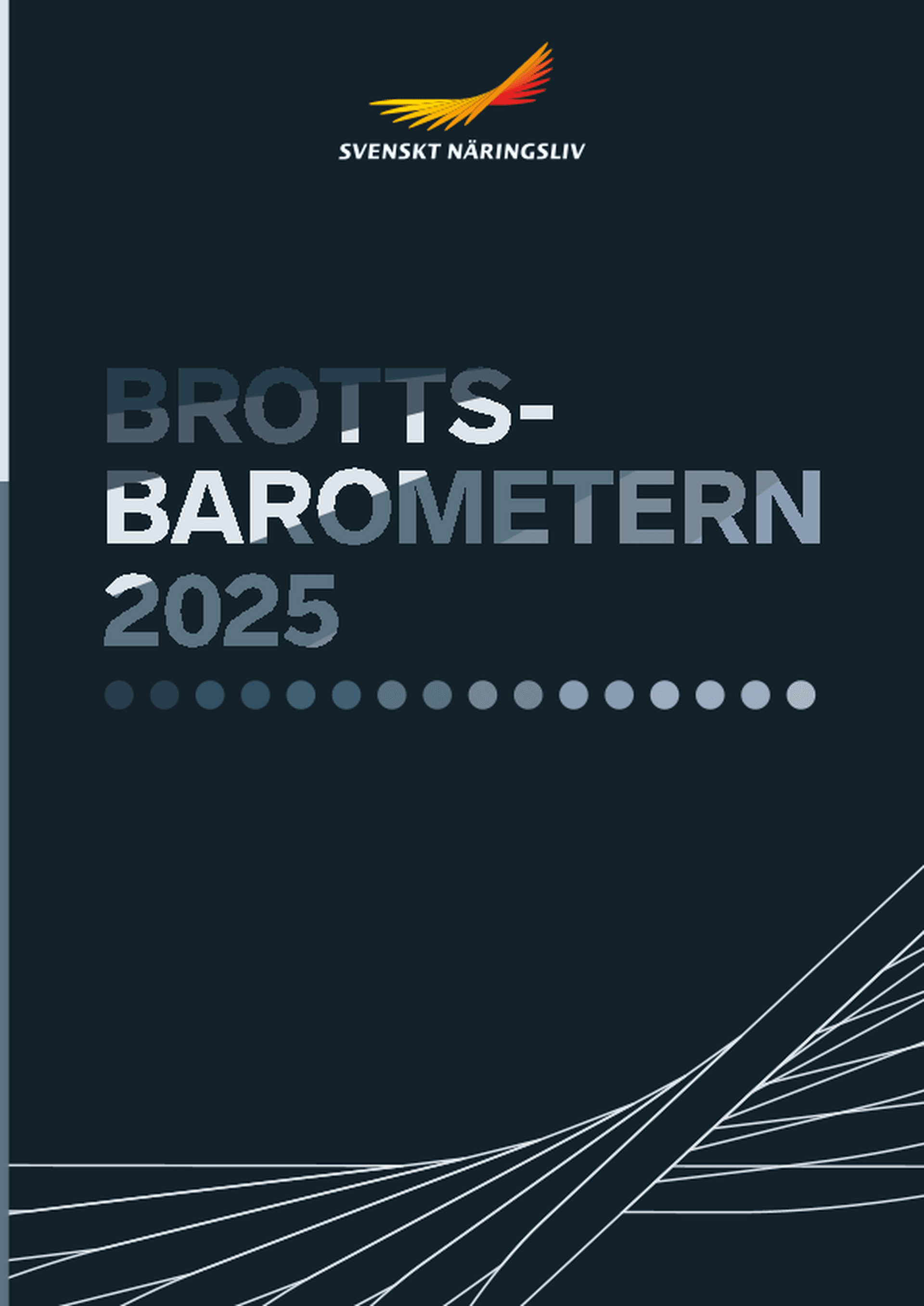 Omslagsbild - Rapport