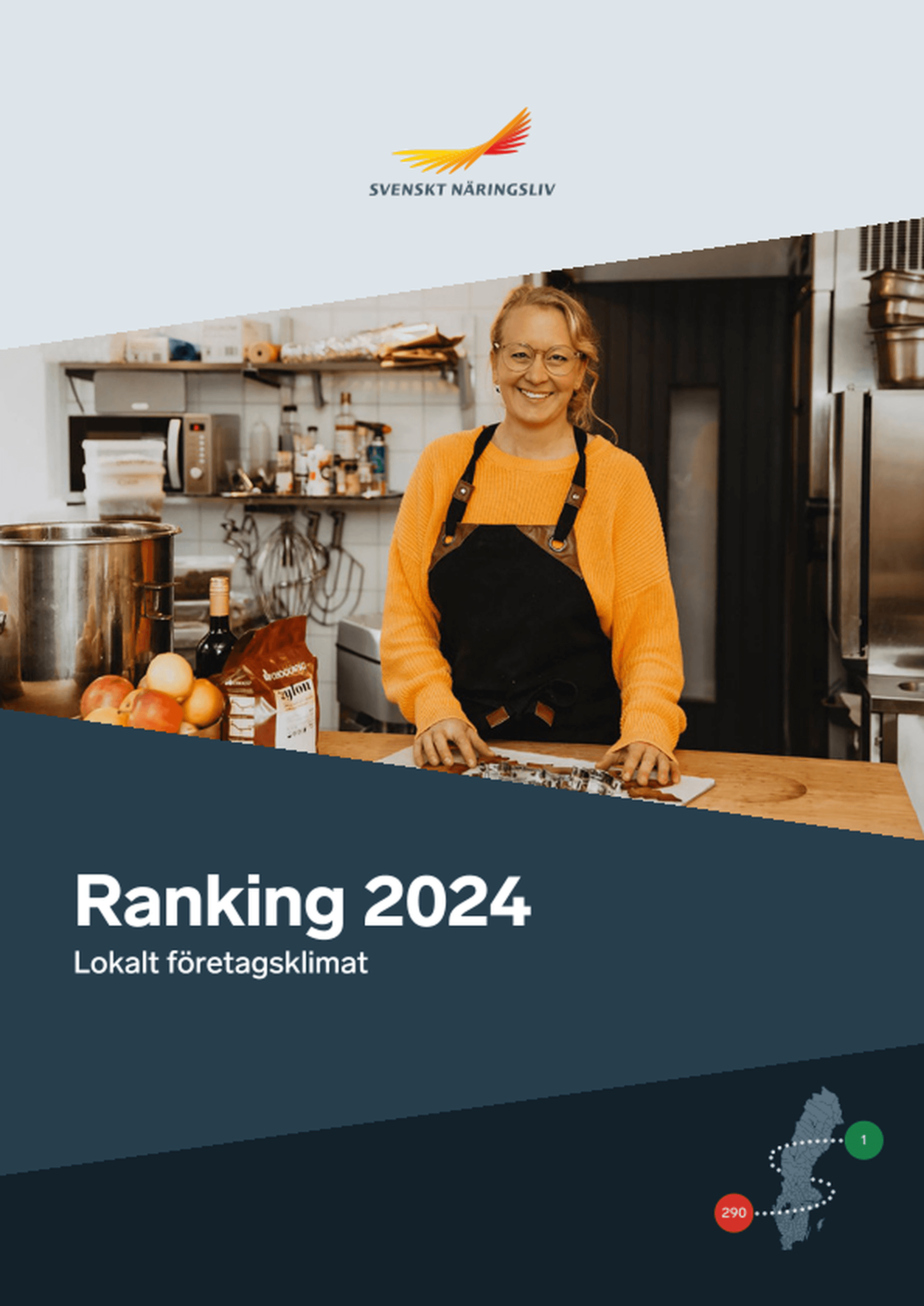 Omslagsbild - Rapport