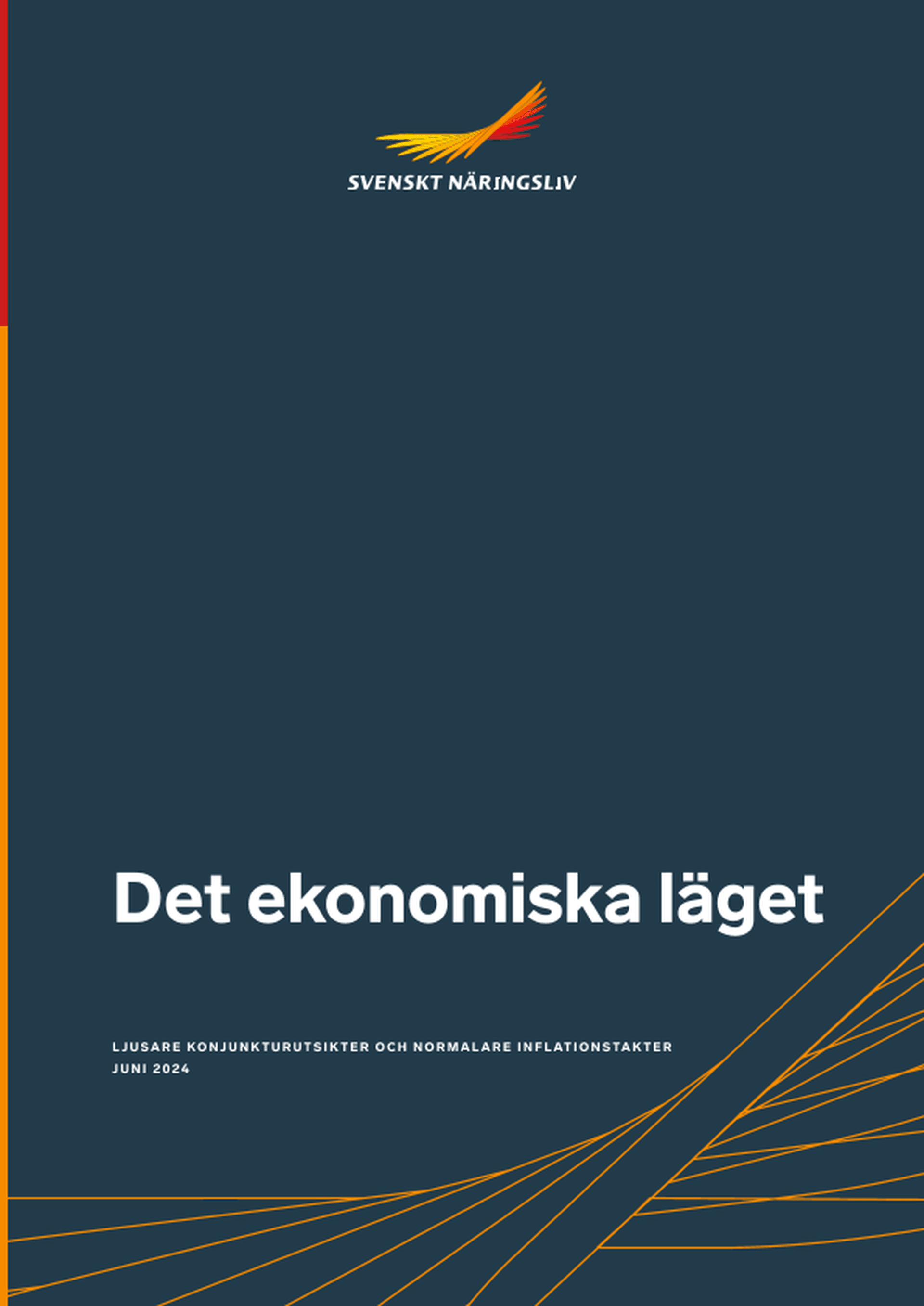Omslagsbild - Rapport