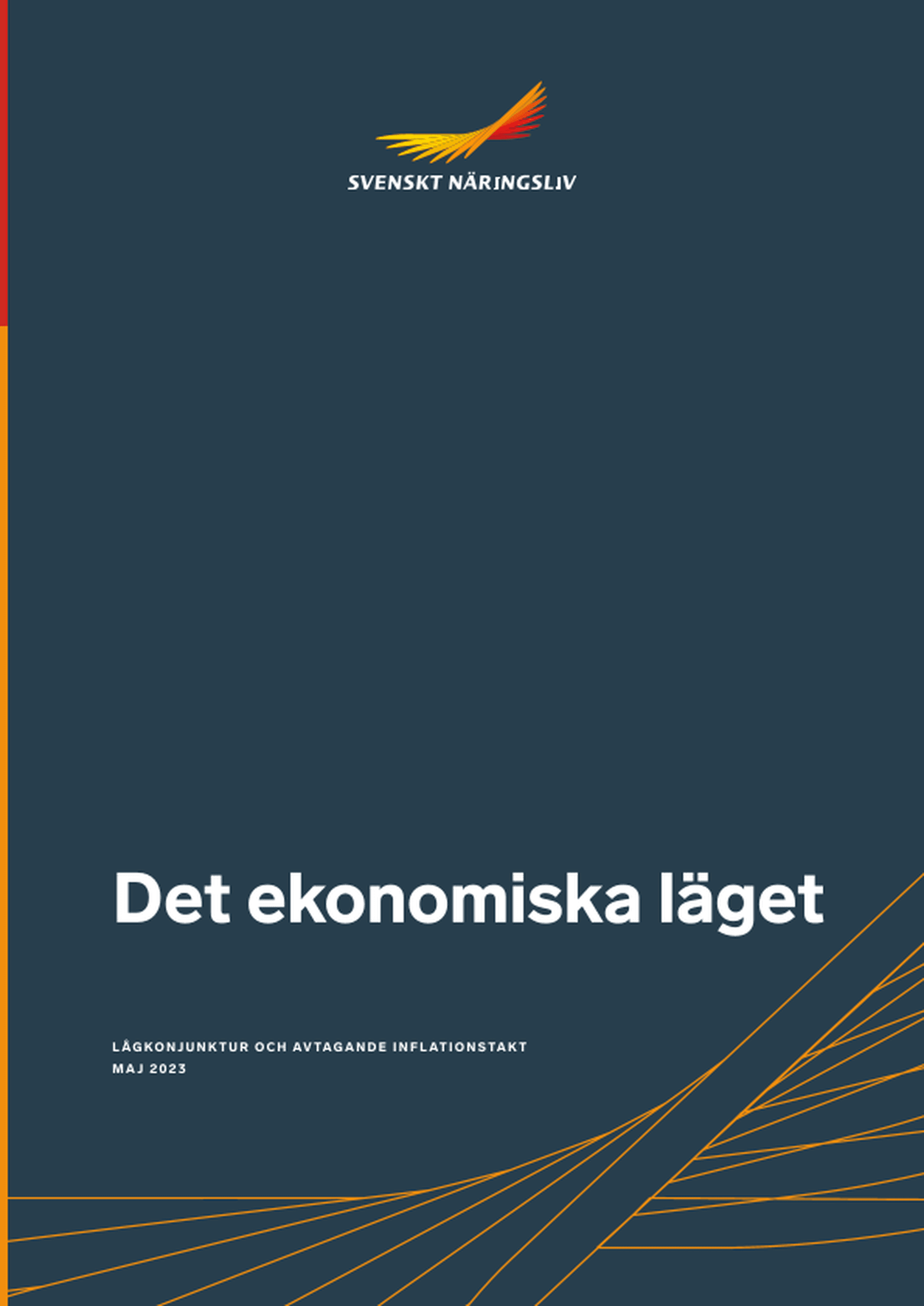 Omslagsbild - Rapport