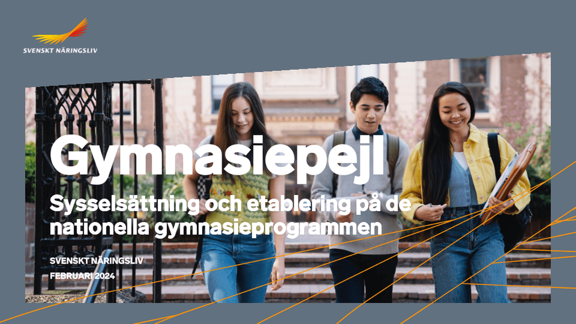 Omslagsbild - Rapport