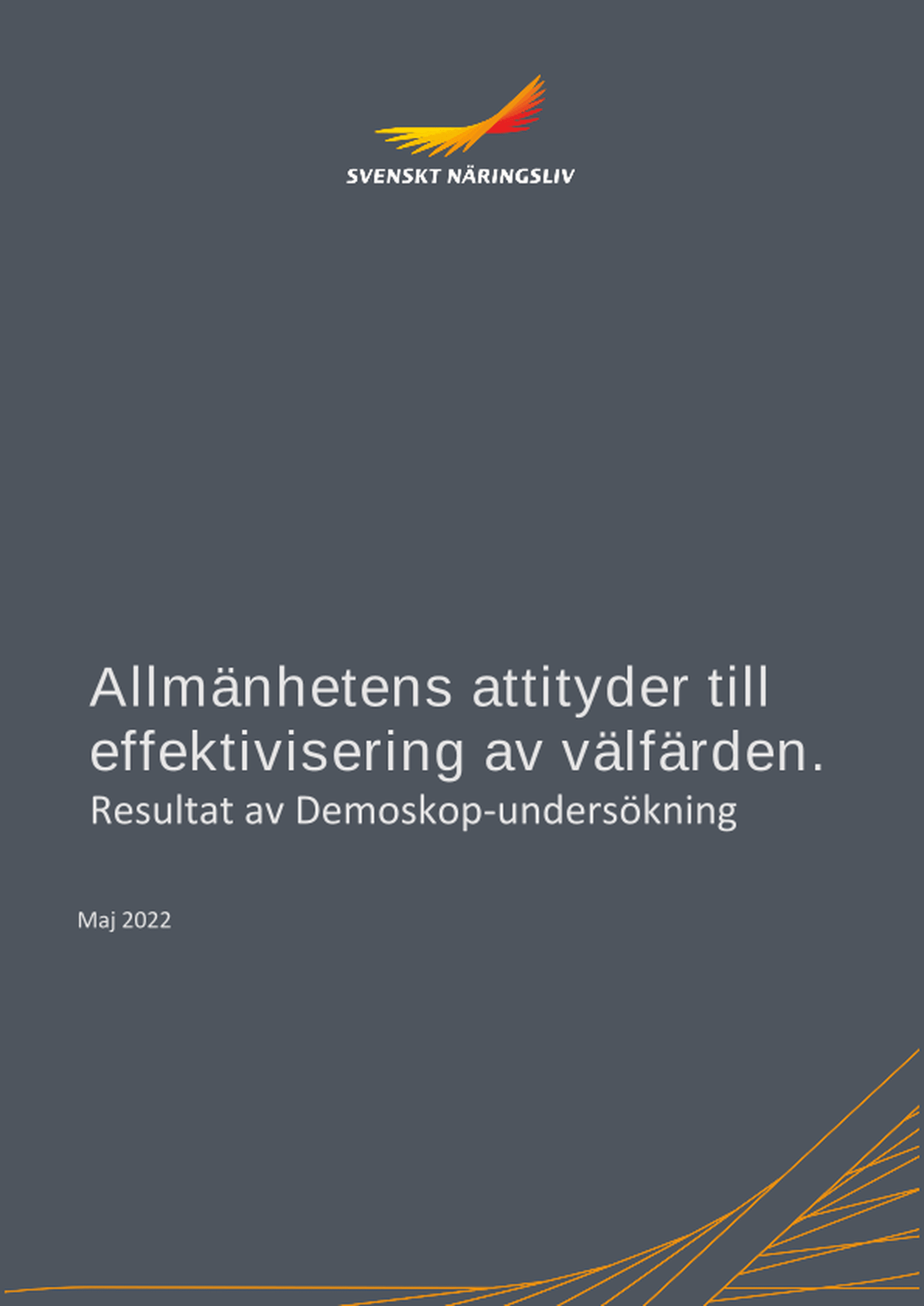 Omslagsbild - Rapport