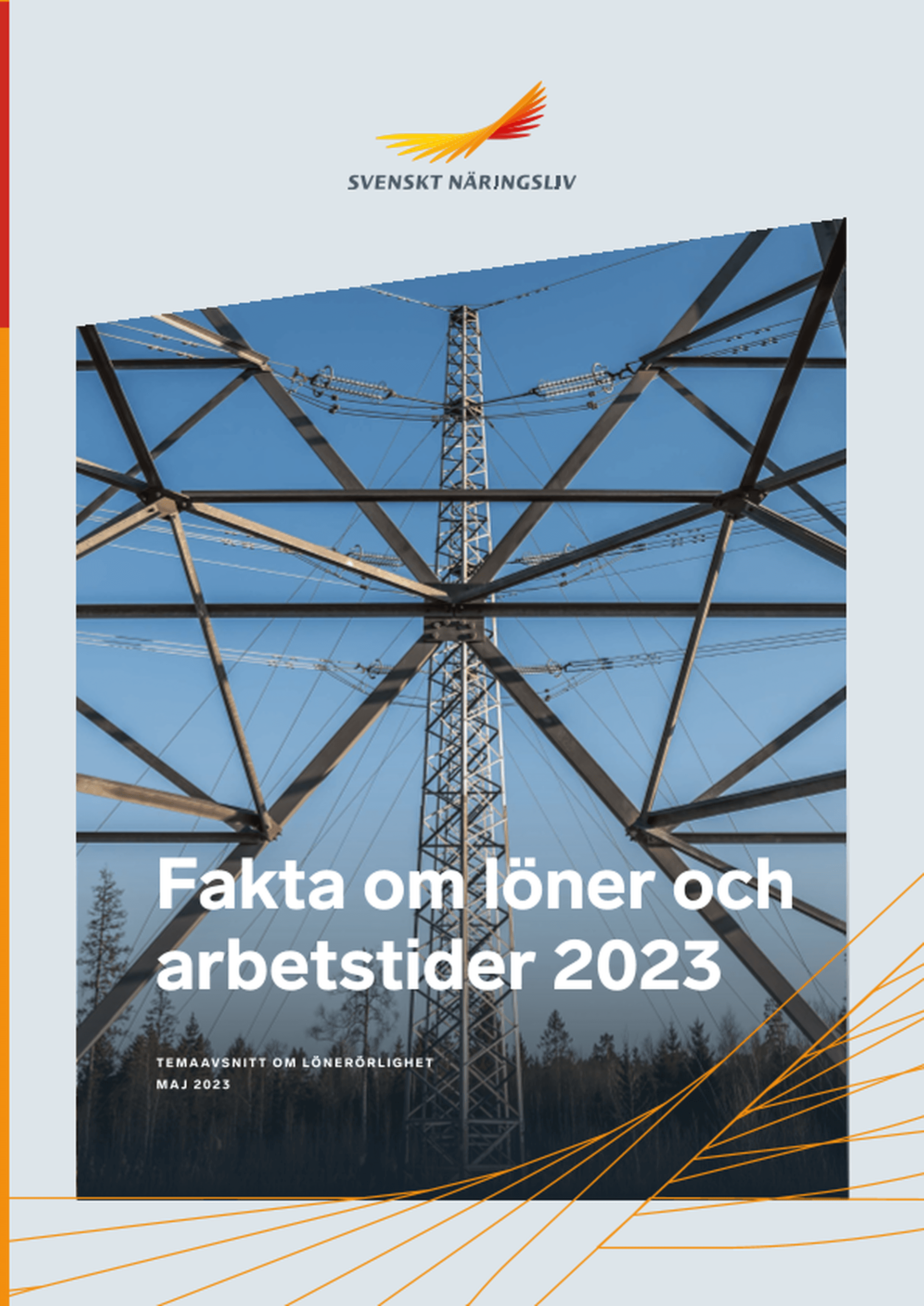 Omslagsbild - Rapport