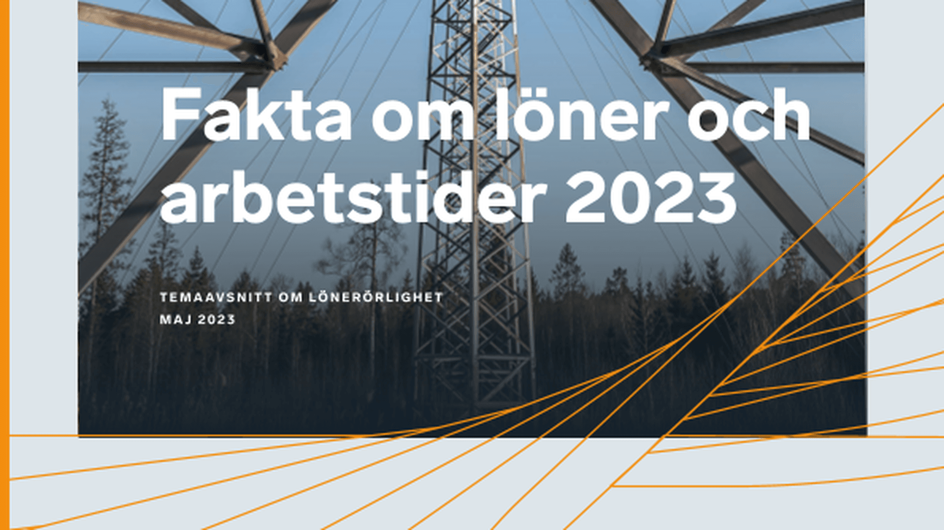 Omslagsbild - Rapport