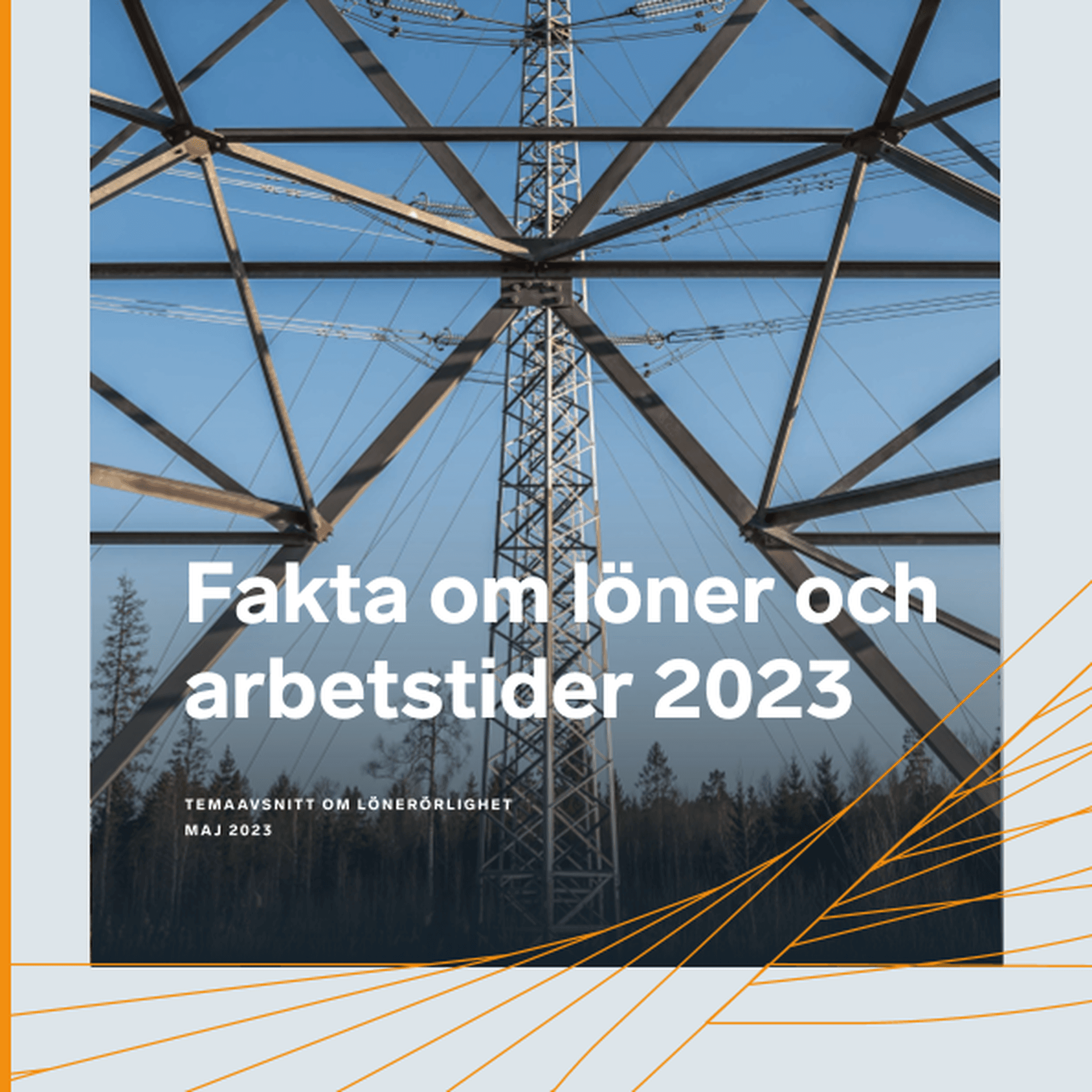 Omslagsbild - Rapport