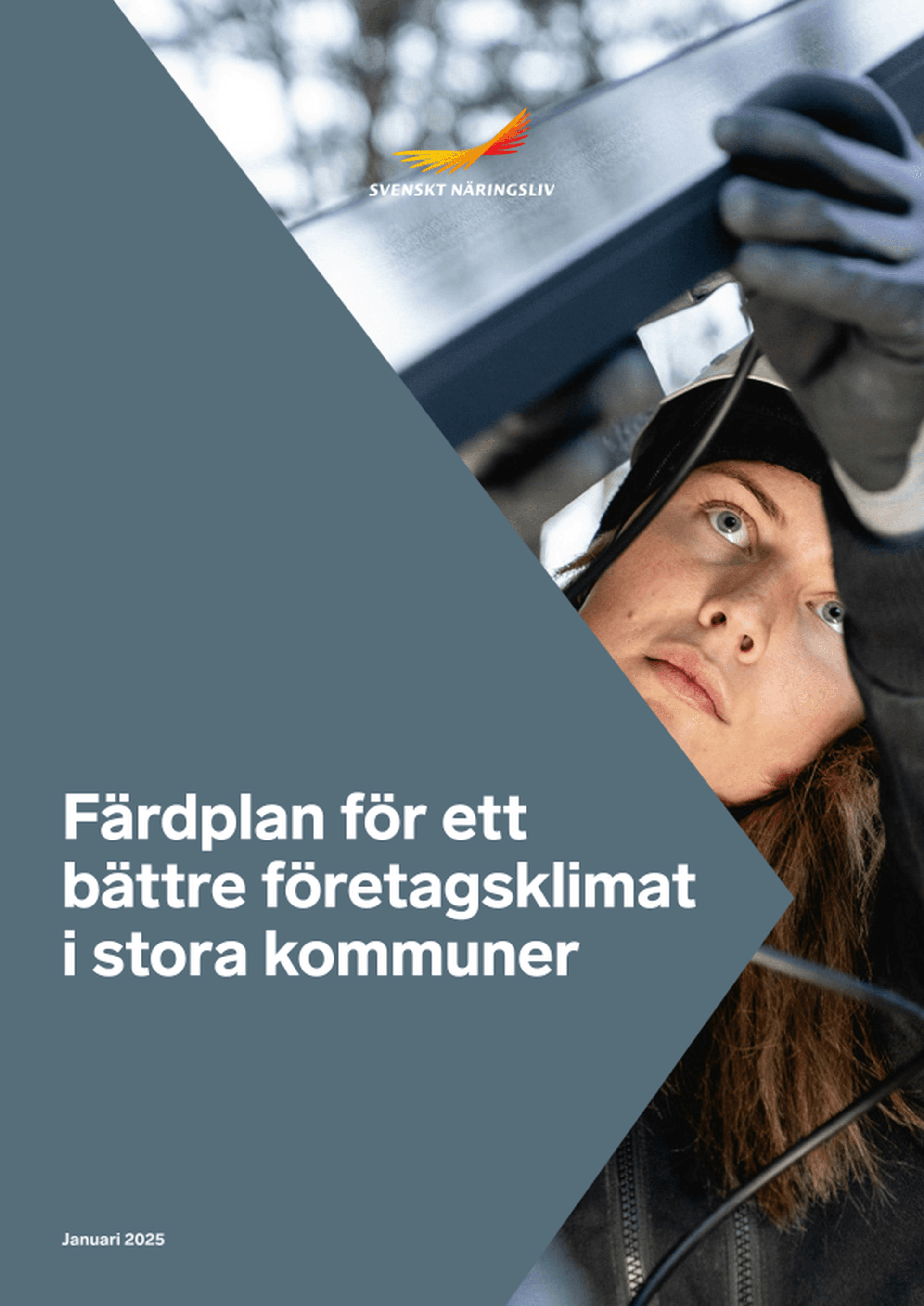 Omslagsbild - Rapport