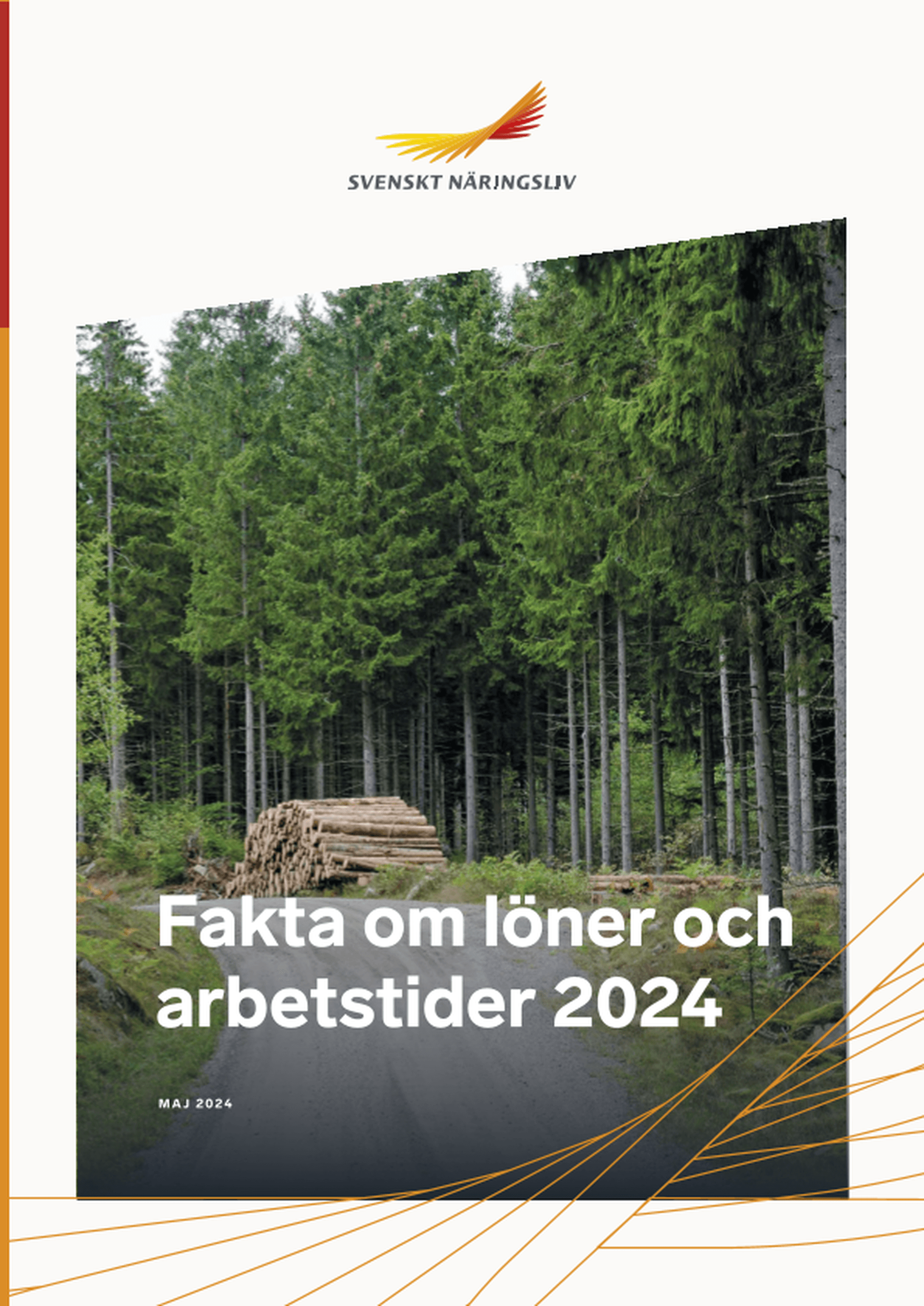 Omslagsbild - Rapport