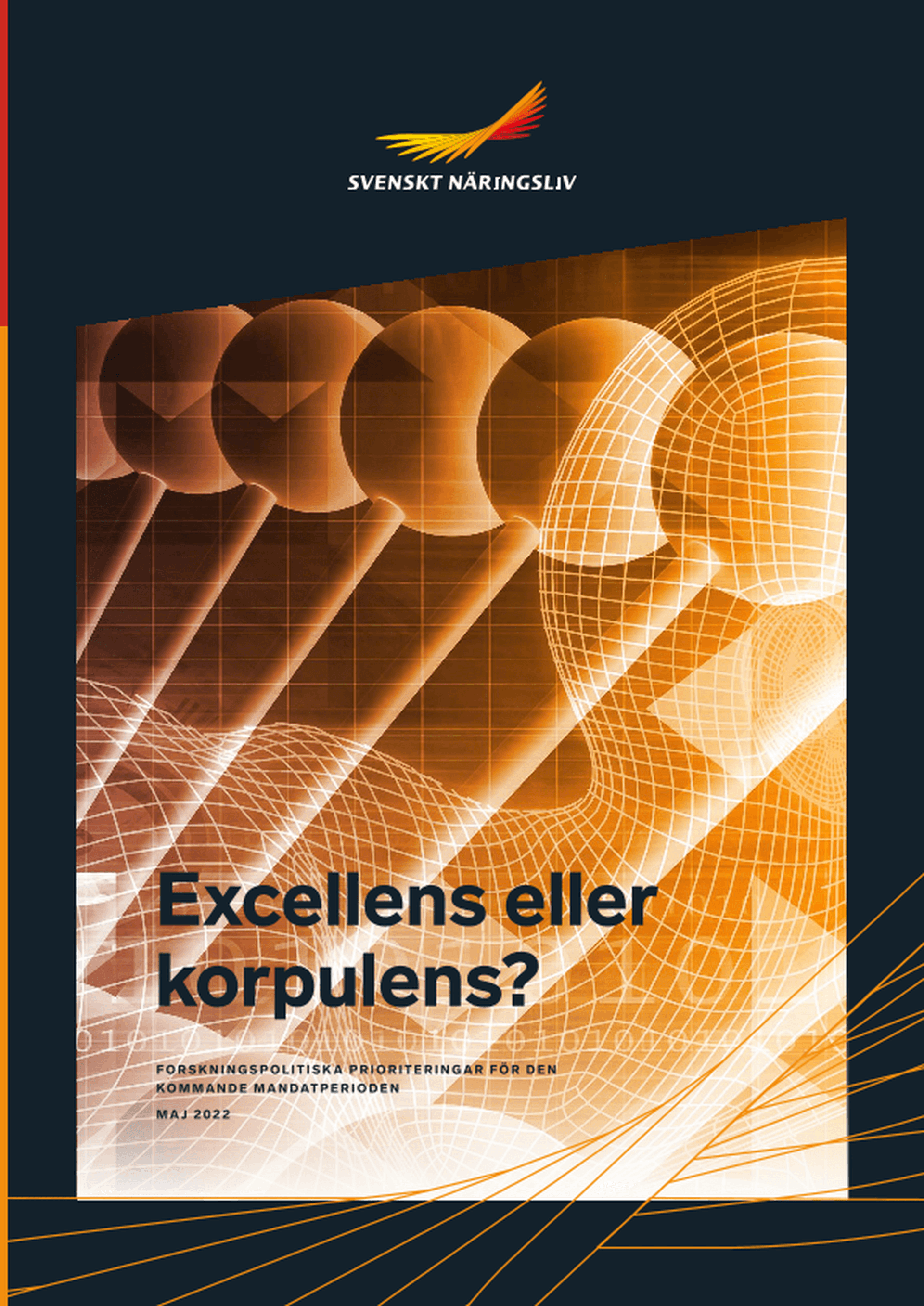 Omslagsbild - Rapport