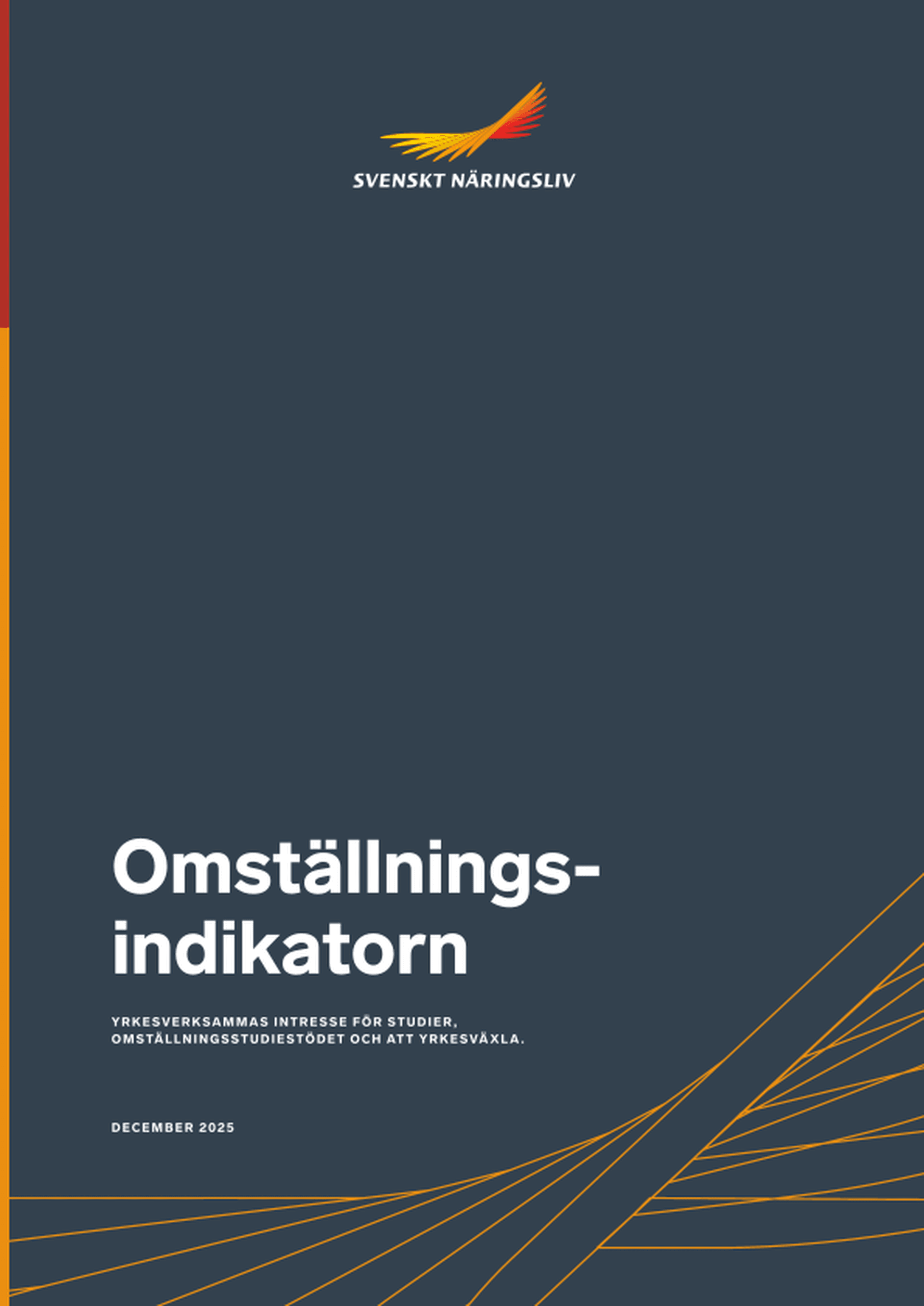 Omslagsbild - Rapport
