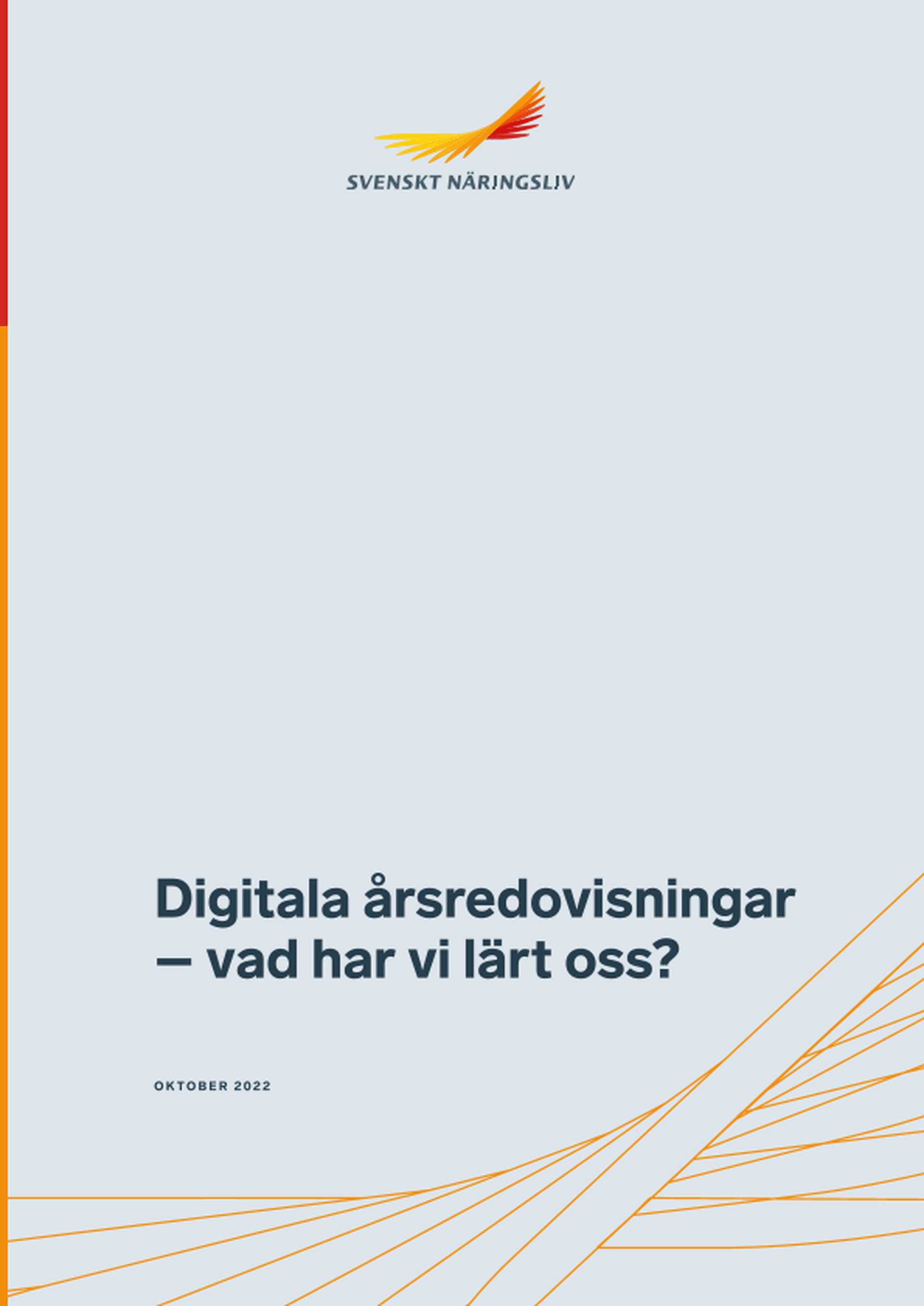Omslagsbild - Rapport