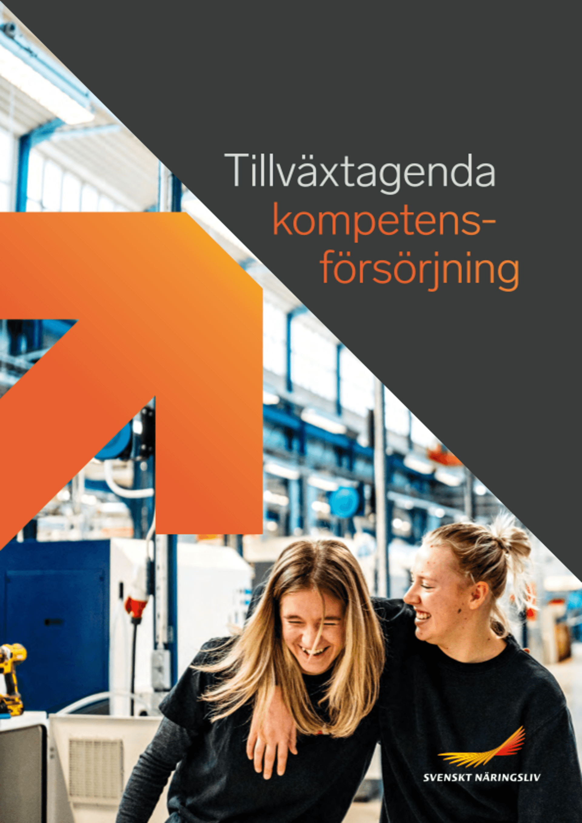 Omslagsbild - Rapport
