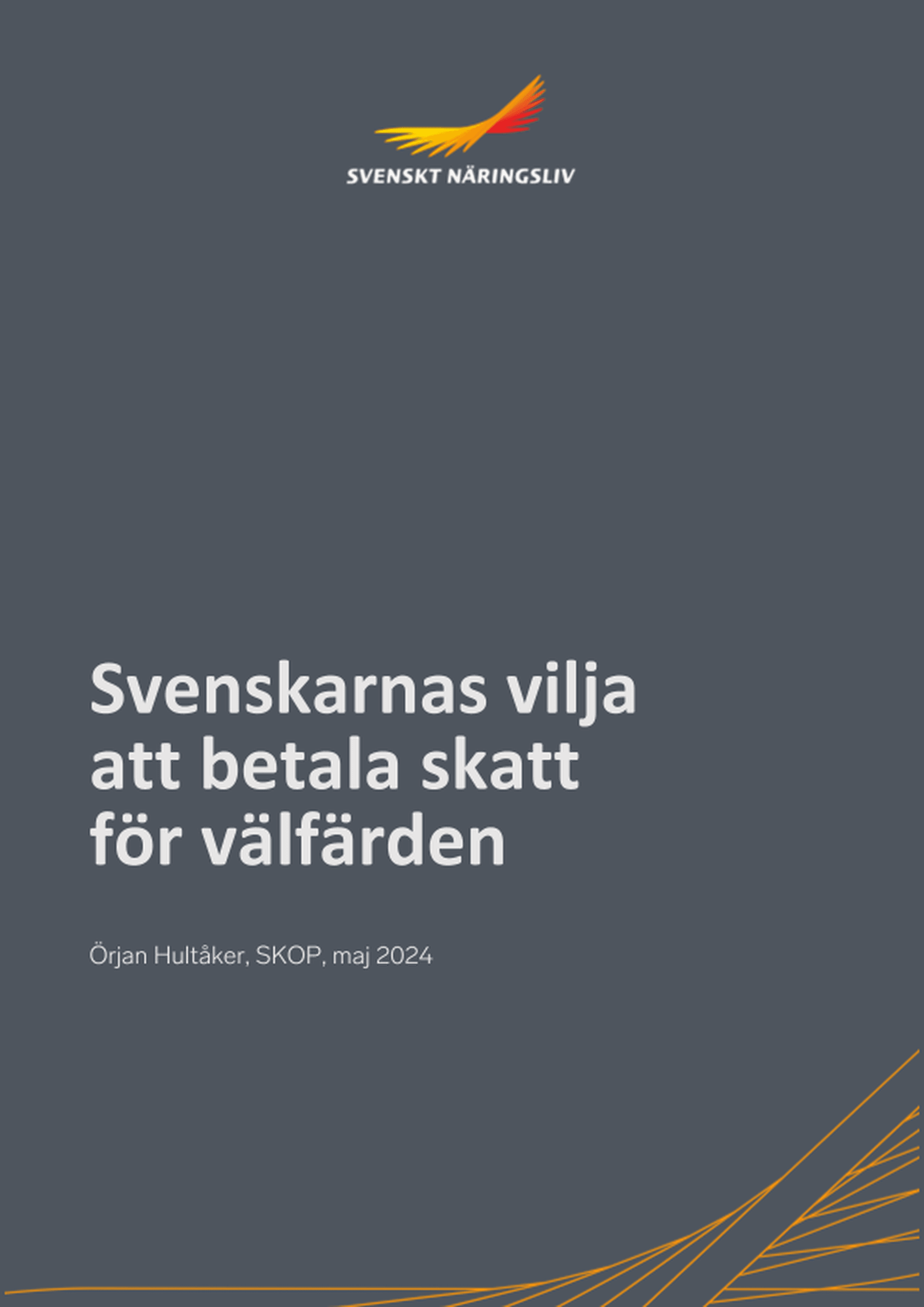 Omslagsbild - Rapport