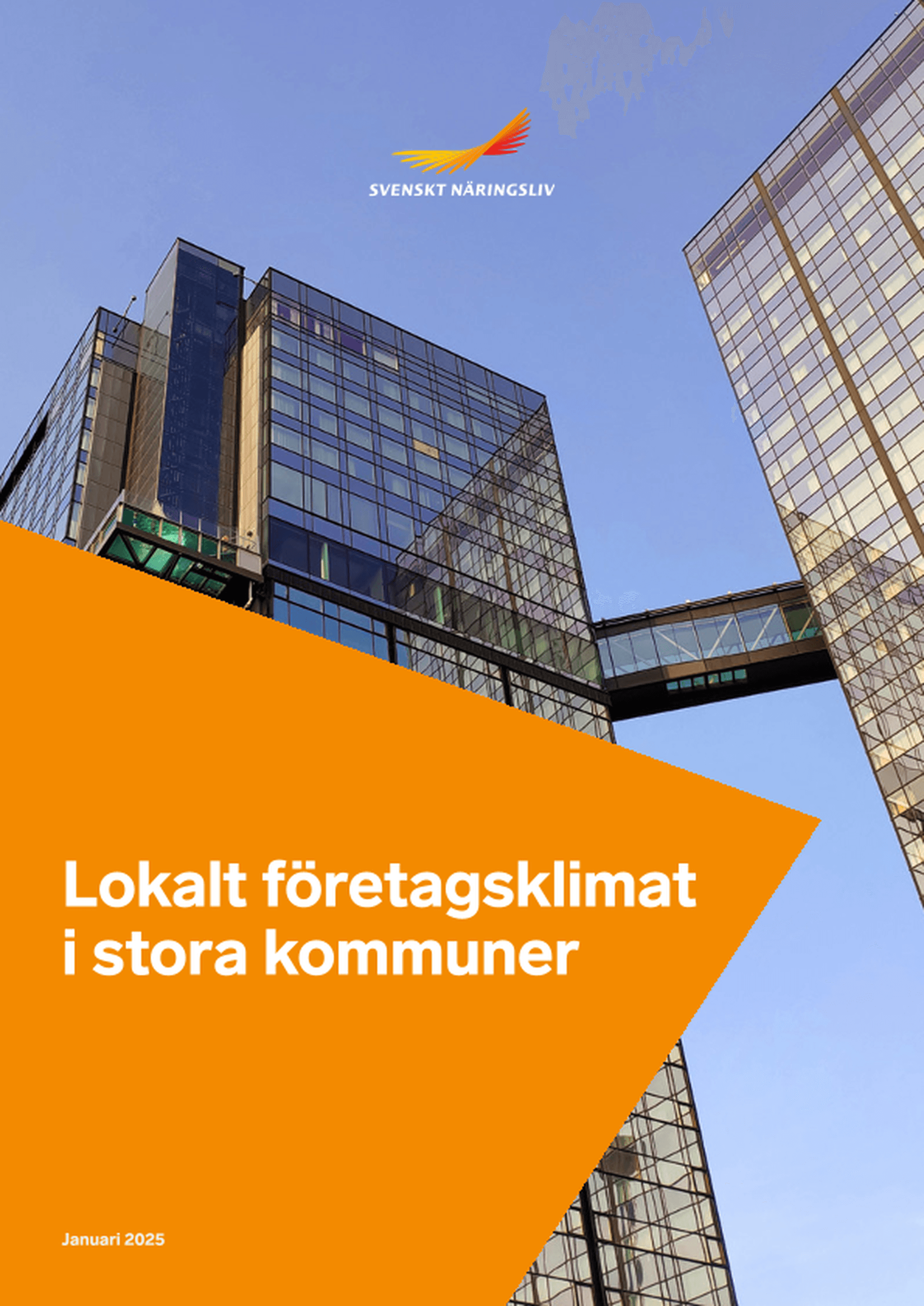 Omslagsbild - Rapport