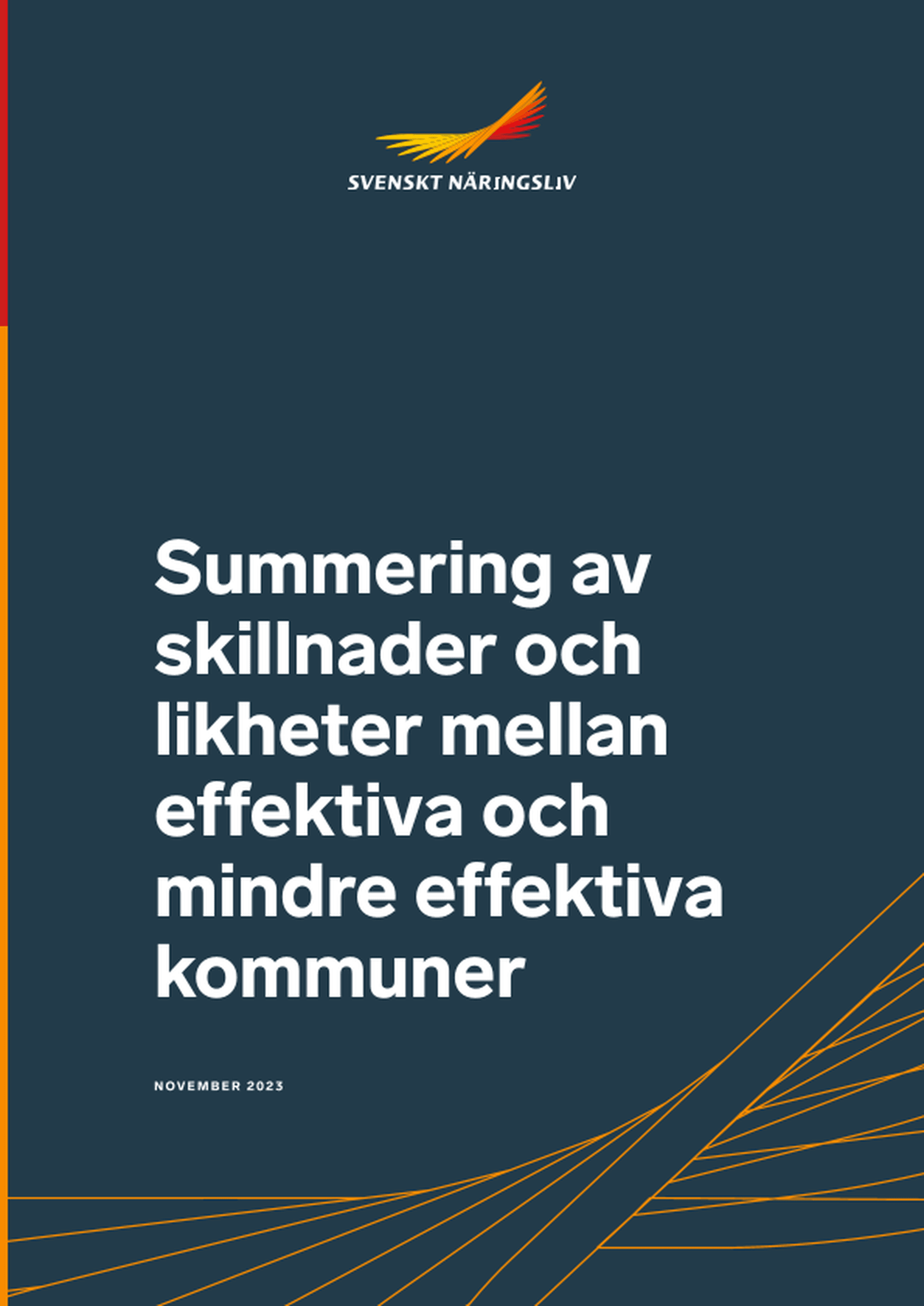 Omslagsbild - Rapport
